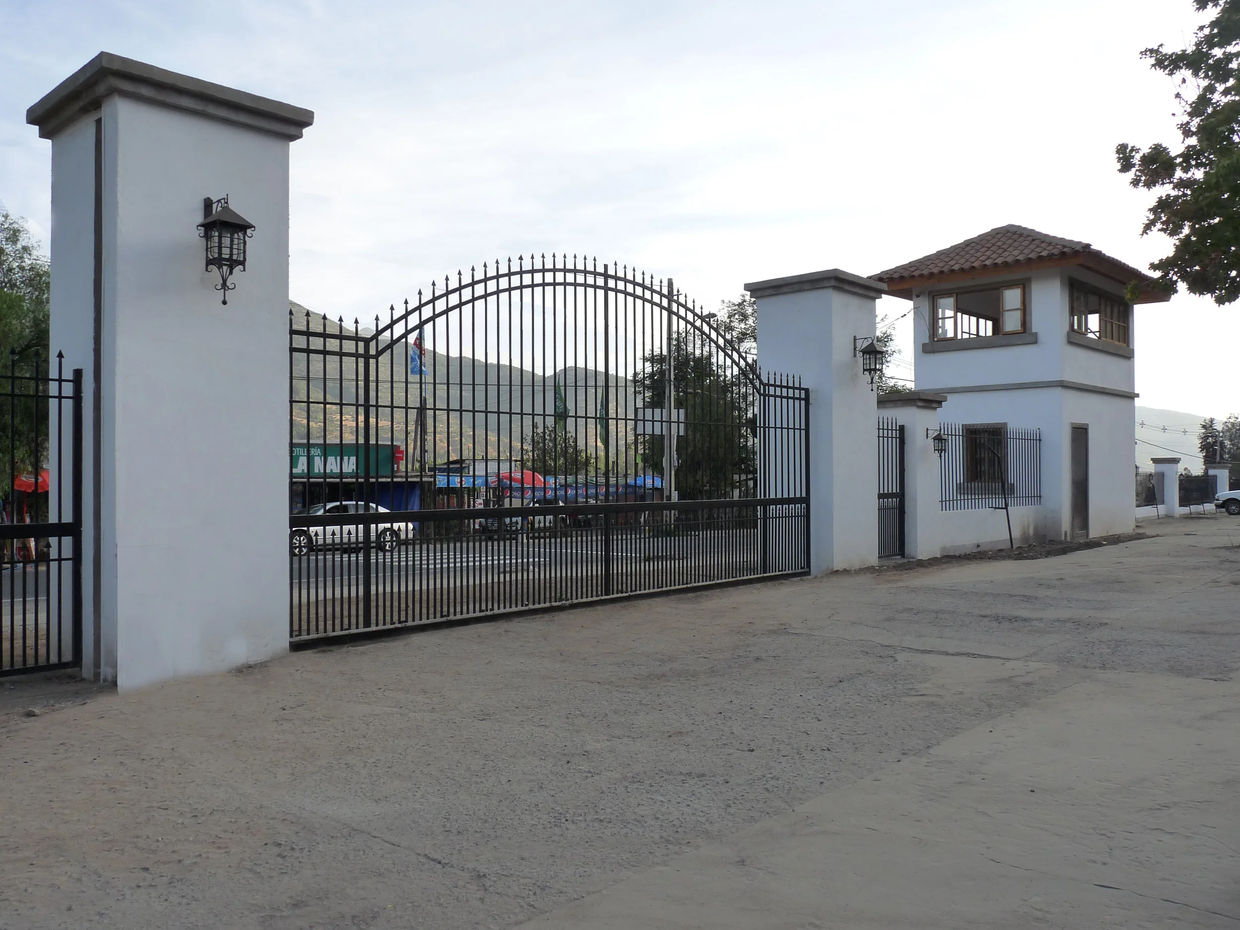 P1090474-1.jpg