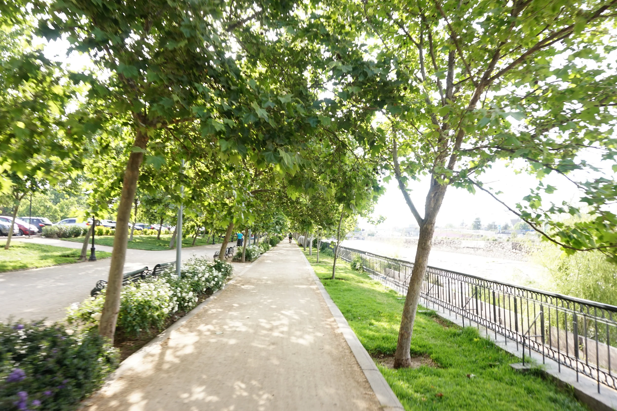 S2 - 20171027 - 037.JPG