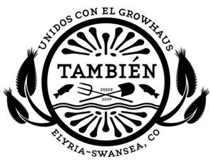 Tambien+logo.png