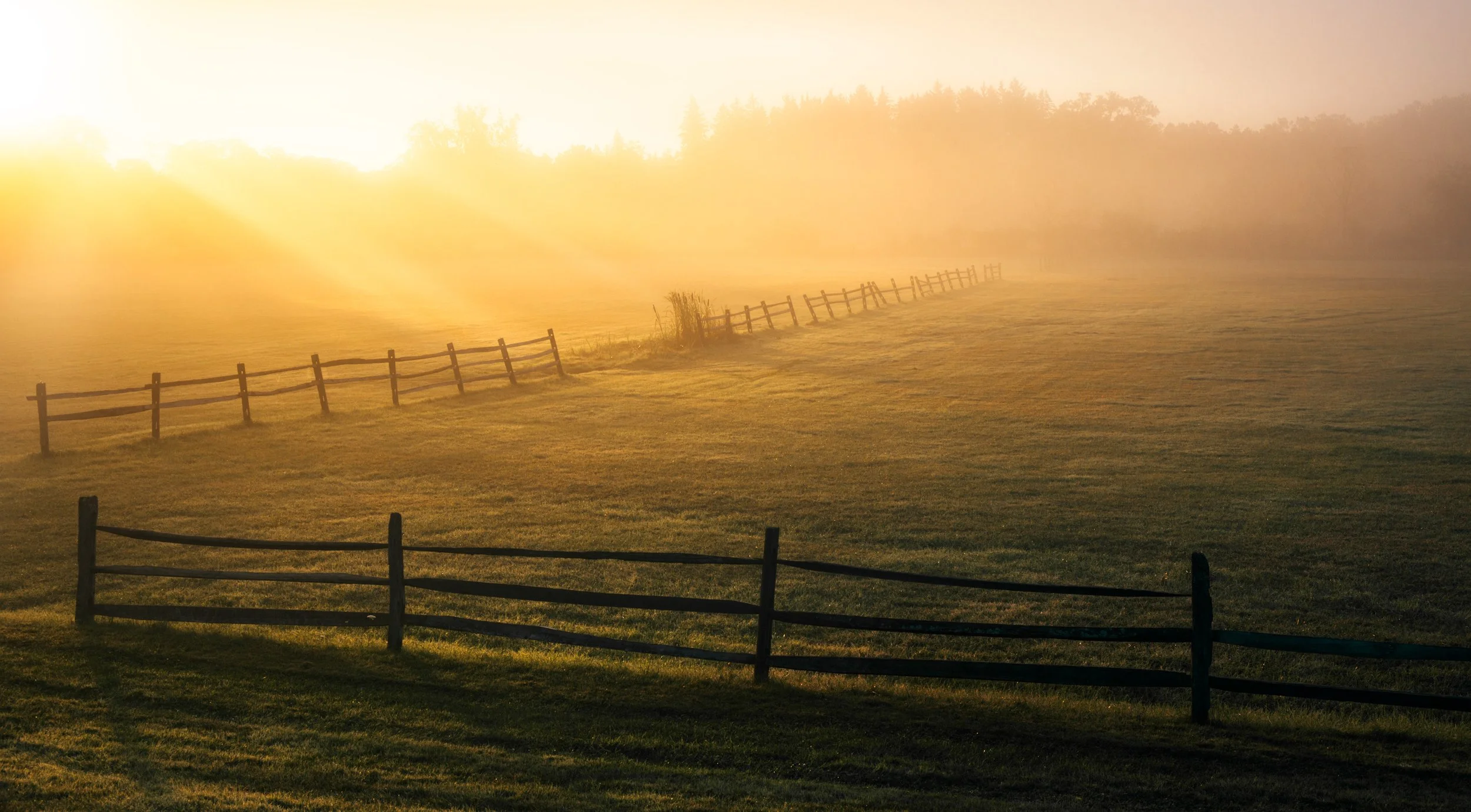 _MG_5669-Edit.jpg