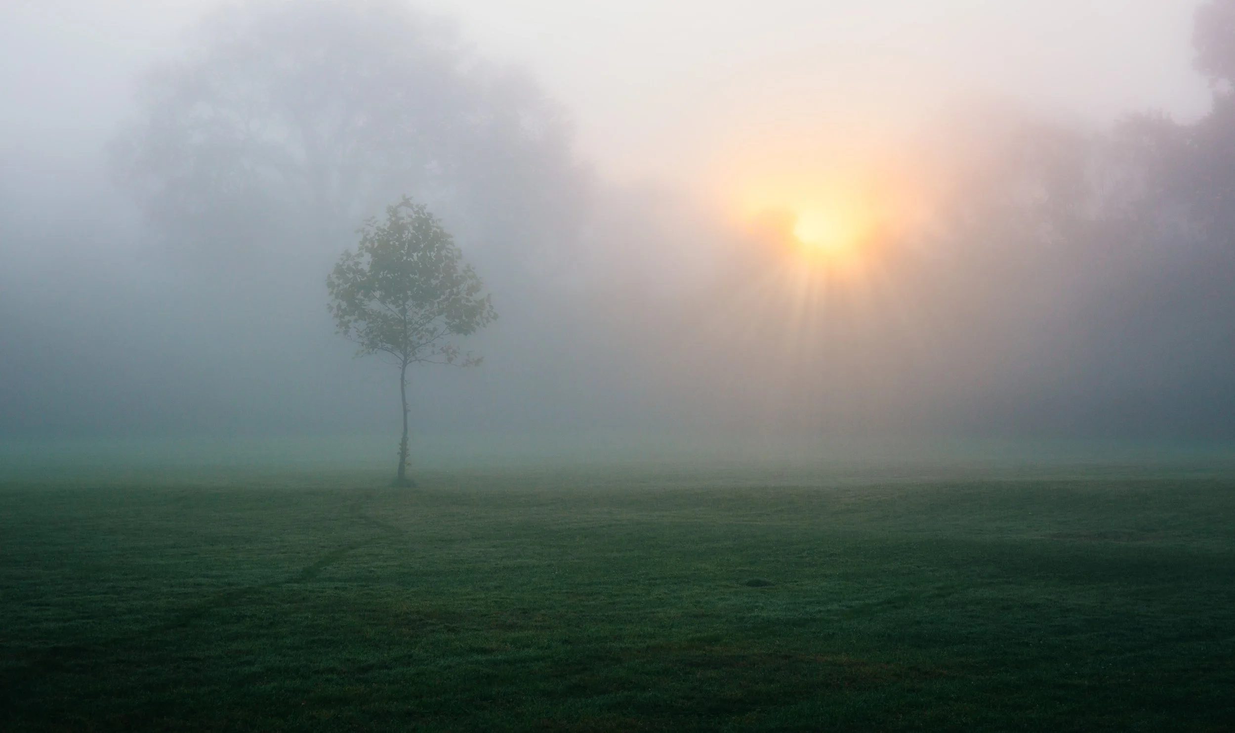 knox-fog-2023.jpg