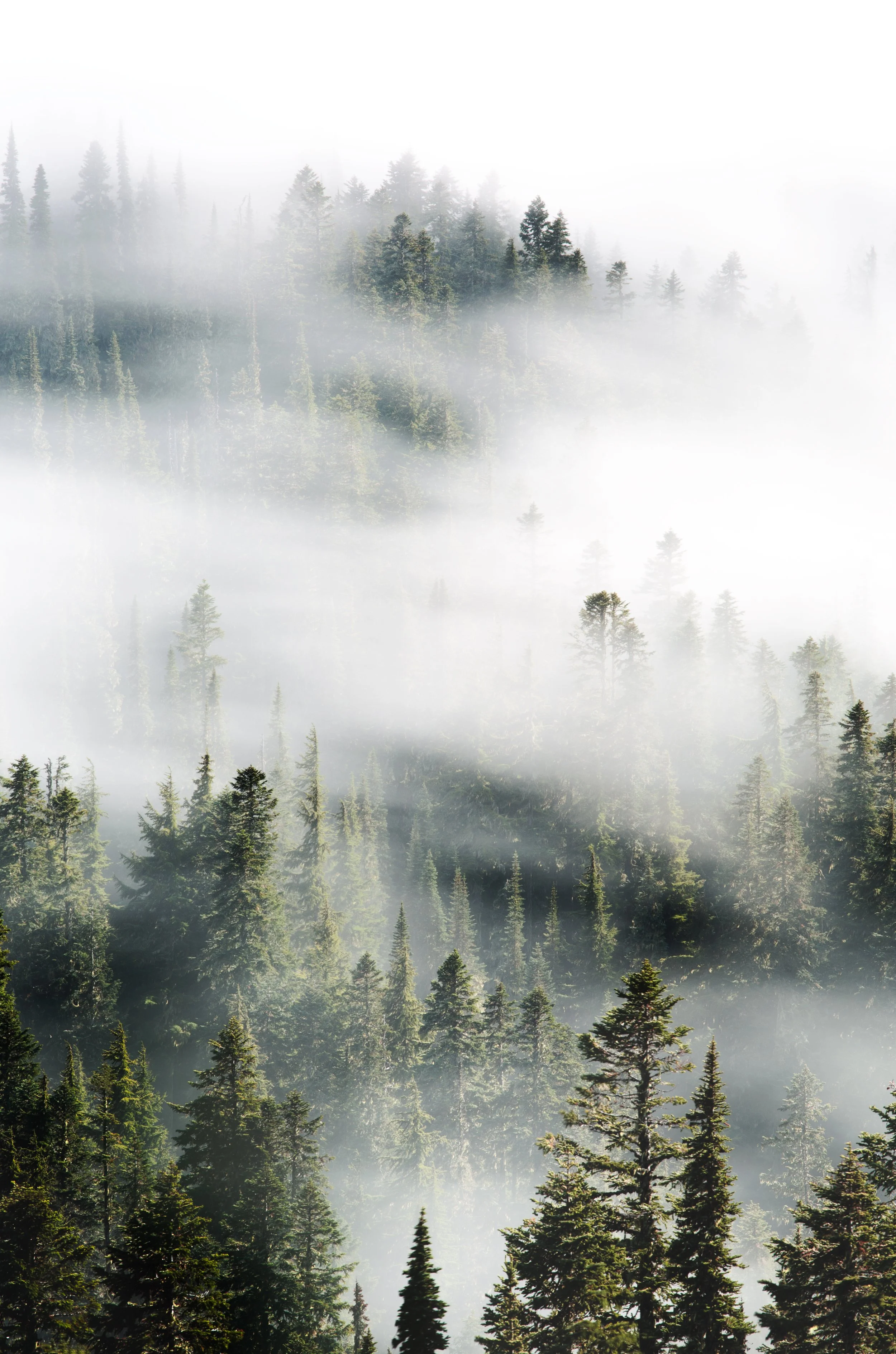_MG_6142-Edit.jpg