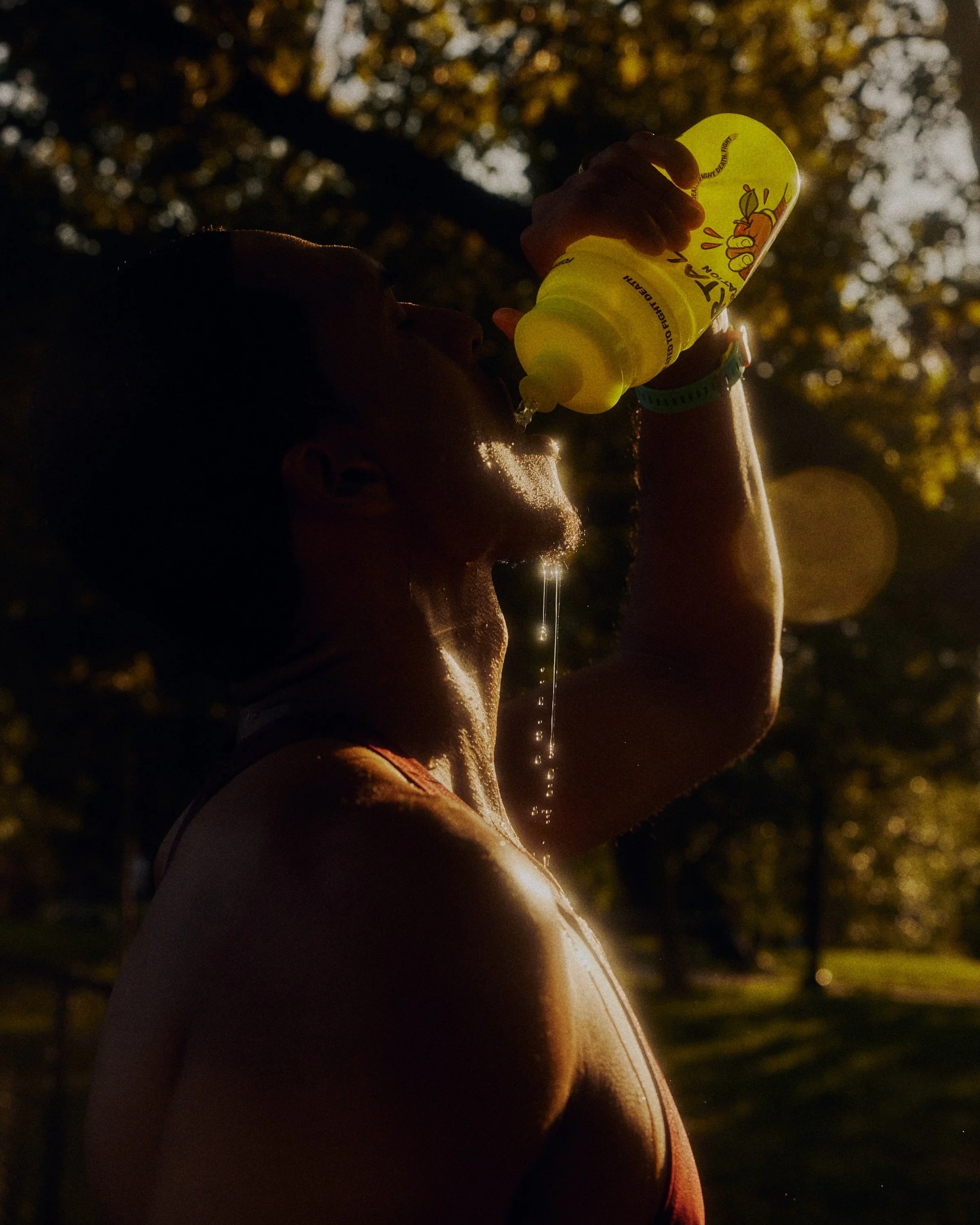 THAT LIGHT.jpg