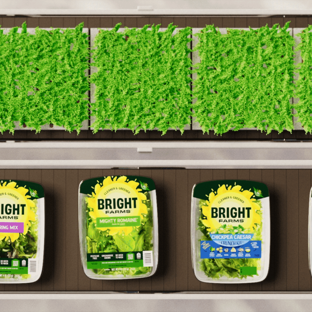 BrightFarms+Social+Video+3.gif