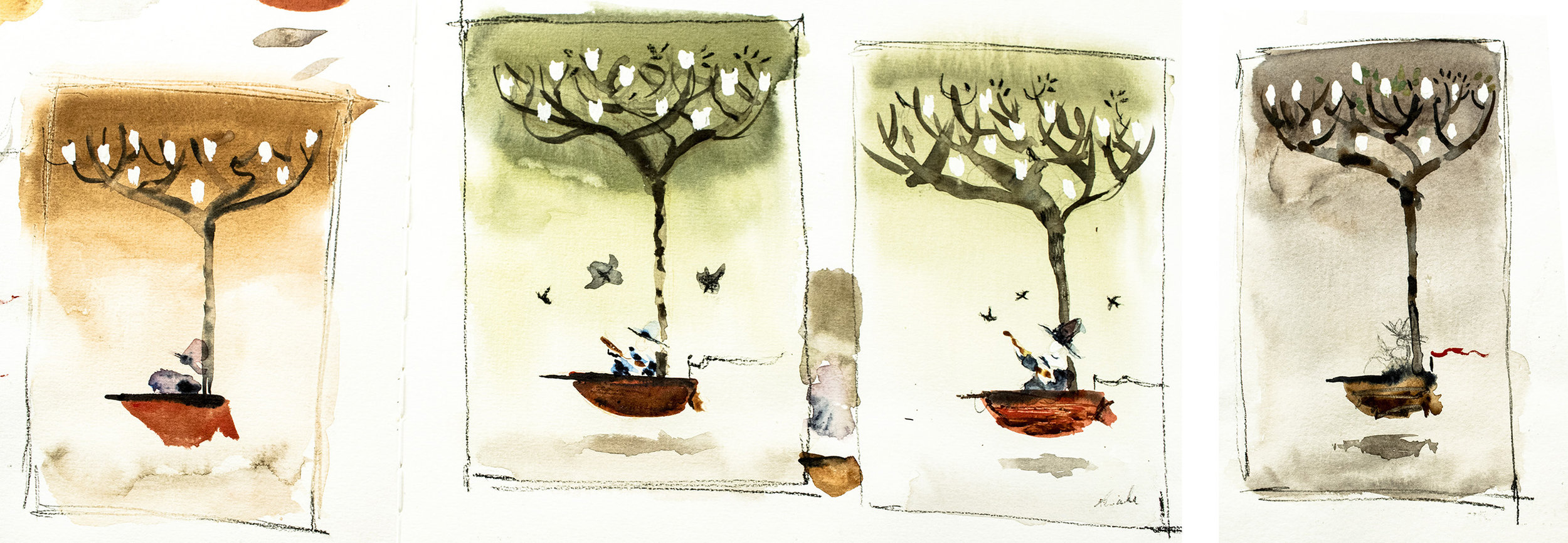 Color studies .