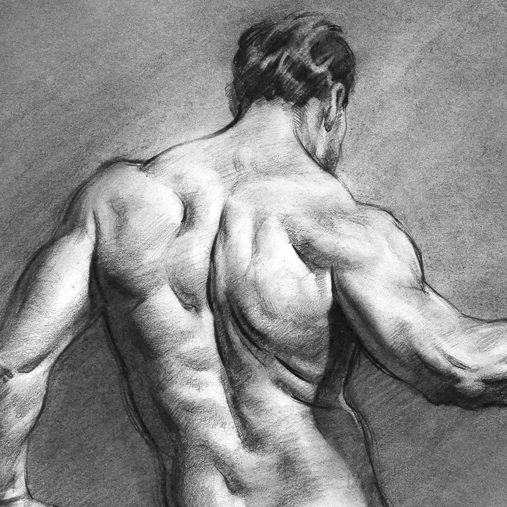 proko figure drawing review for absolute beginner