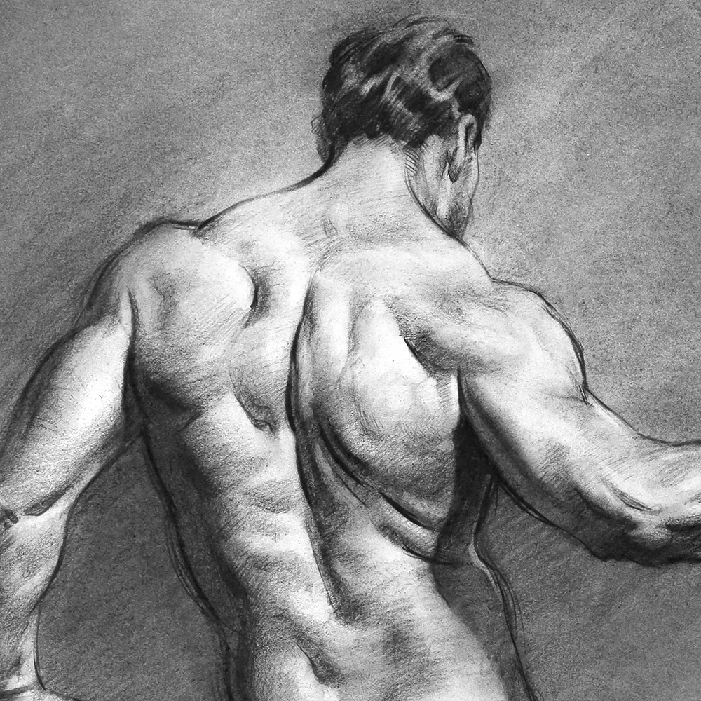 Figure drawing with Proko!