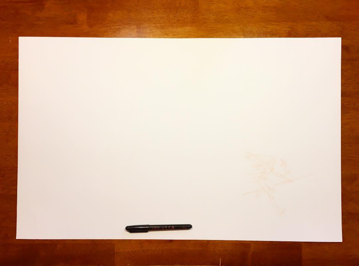 A fresh start! Photo by Jake Parker 😊