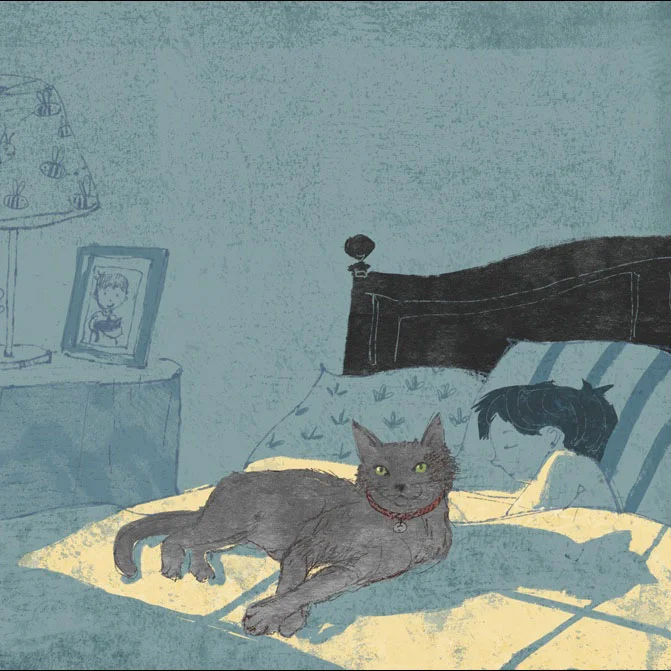 Welcome to Slowvember 2019!