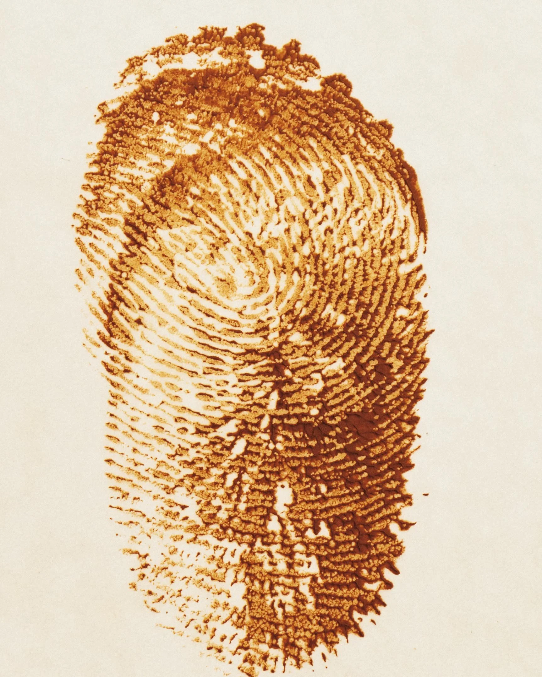 250923_BDT_LM_LM_STILLS_BDT_065 copy.jpg