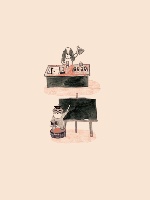 4.gif