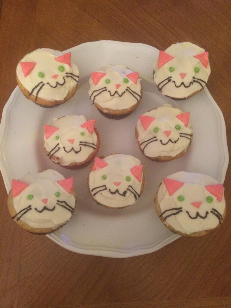 Kitten Cupcakes.jpg