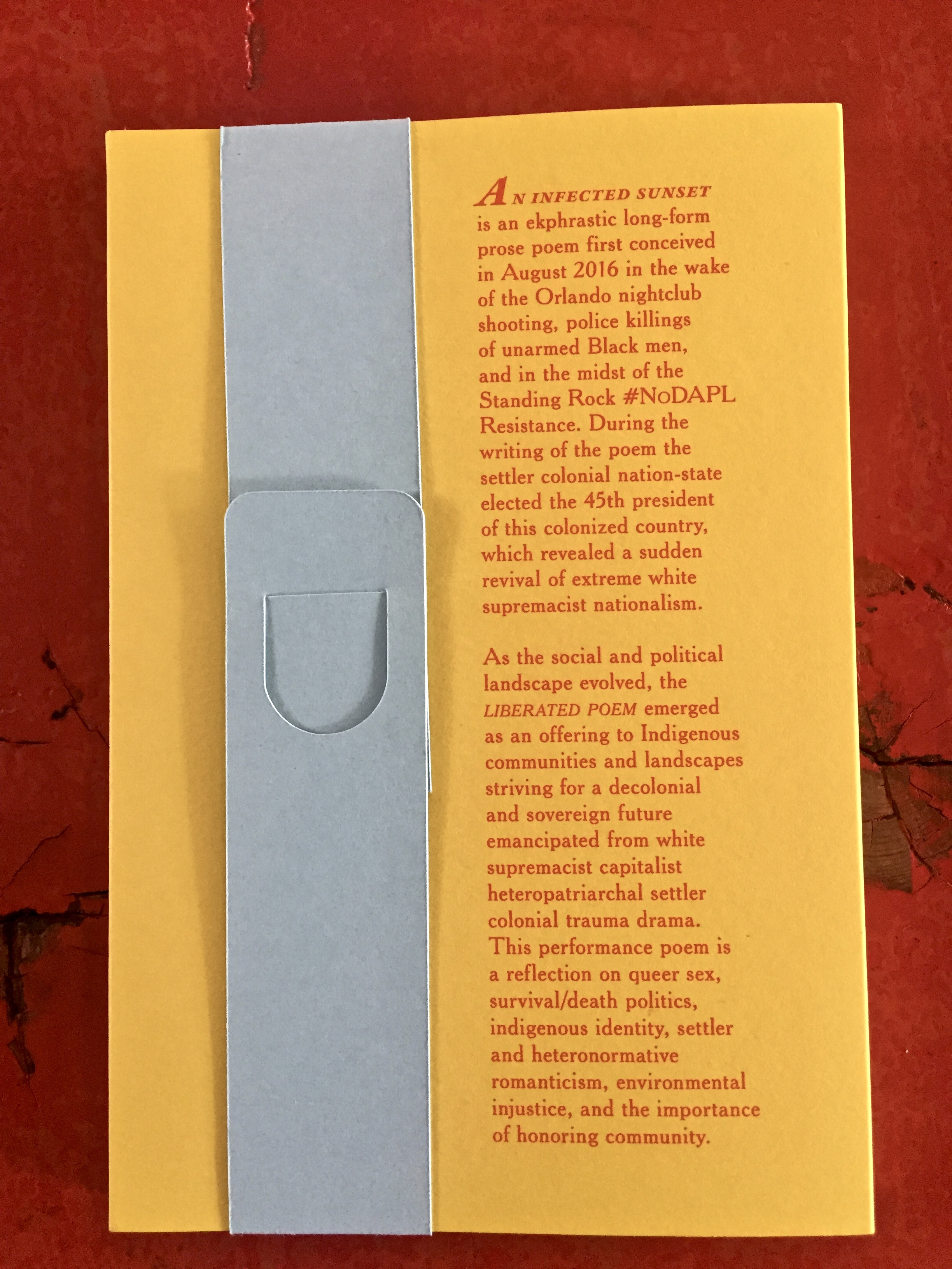 Back cover of ‘An Infected Sunset’ by Demian DinéYazhi´