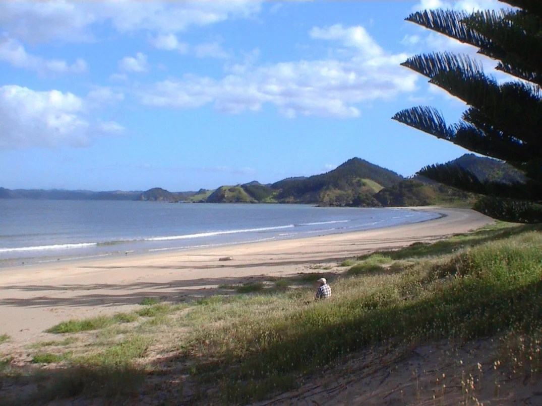 Whananaki South.jpg