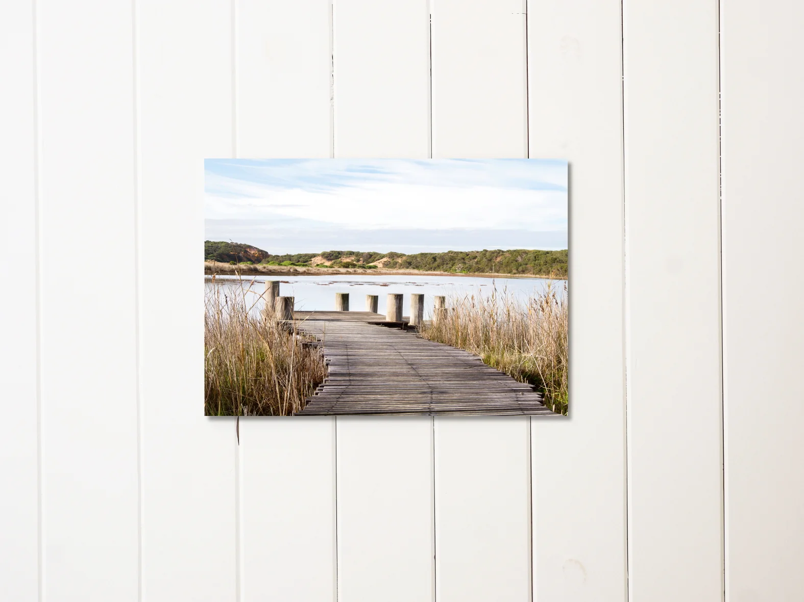 CoastalWetlands-liningboards_LOWRES.JPG