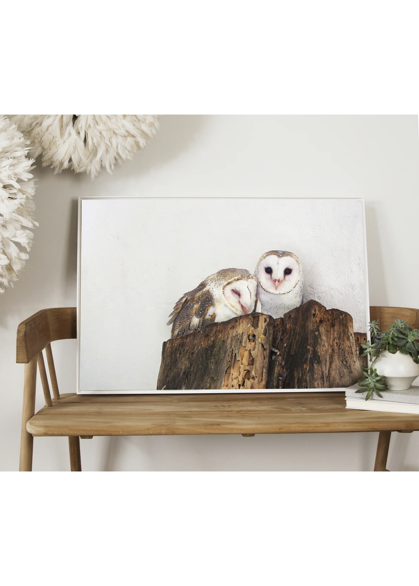 Styled_barn_owls_full.jpg