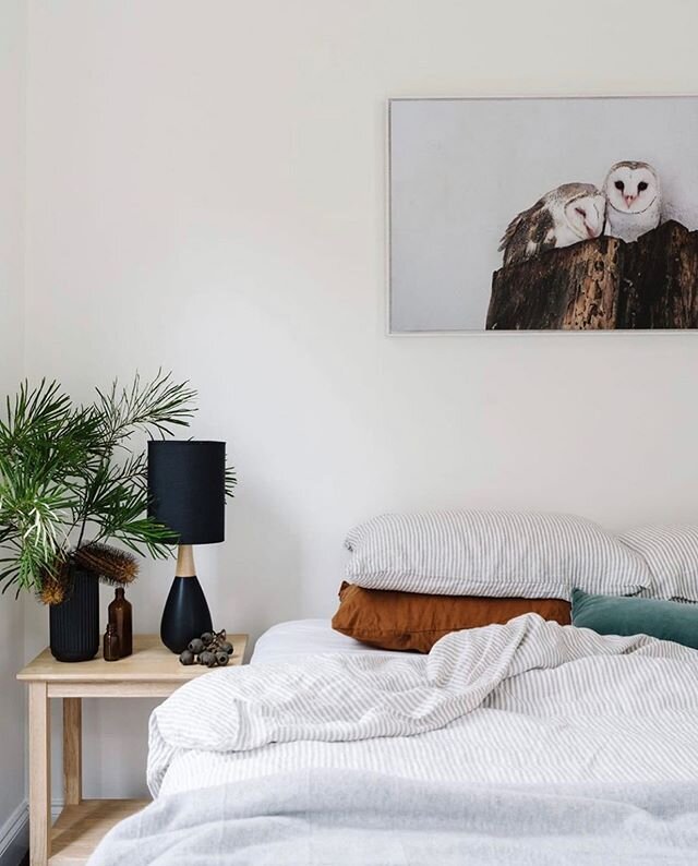 Cosy bedroom scene @the_church_at_lyonville 🤎
.
#Repost @duluxaus with @repostapp⠀
・・・⠀
Dulux | Interior Inspiration⠀
⠀
Dulux Vivid White is ultra-pure, perfect for creating a clean and contemporary look, even in more traditional spaces. This Most L