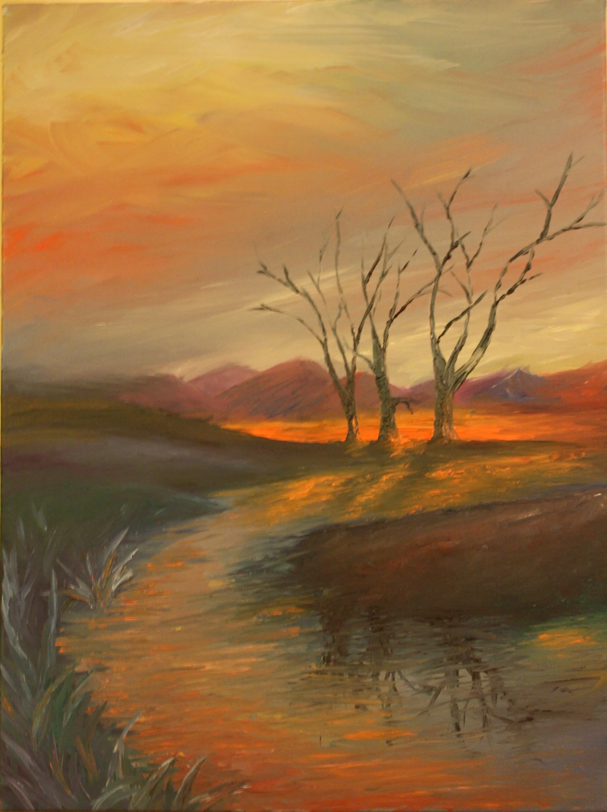Slow River