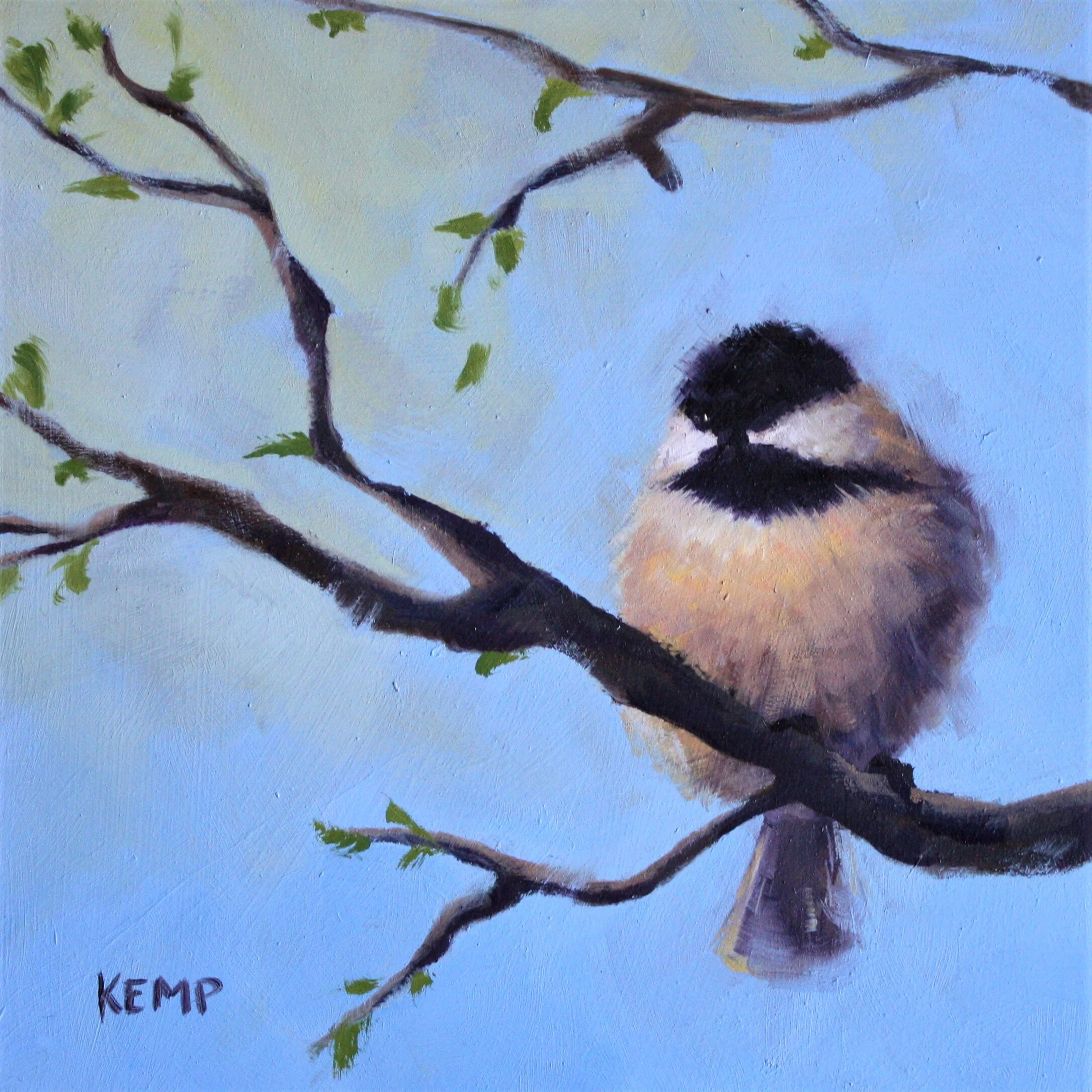 Chickadee #3