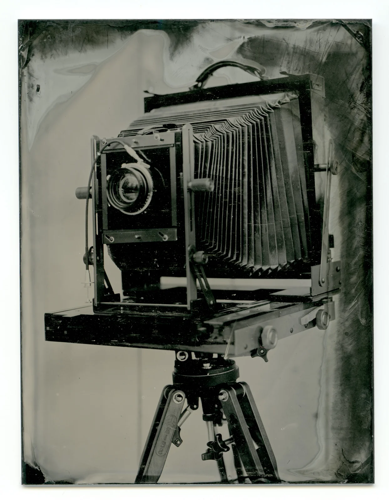 Tintype, 2013