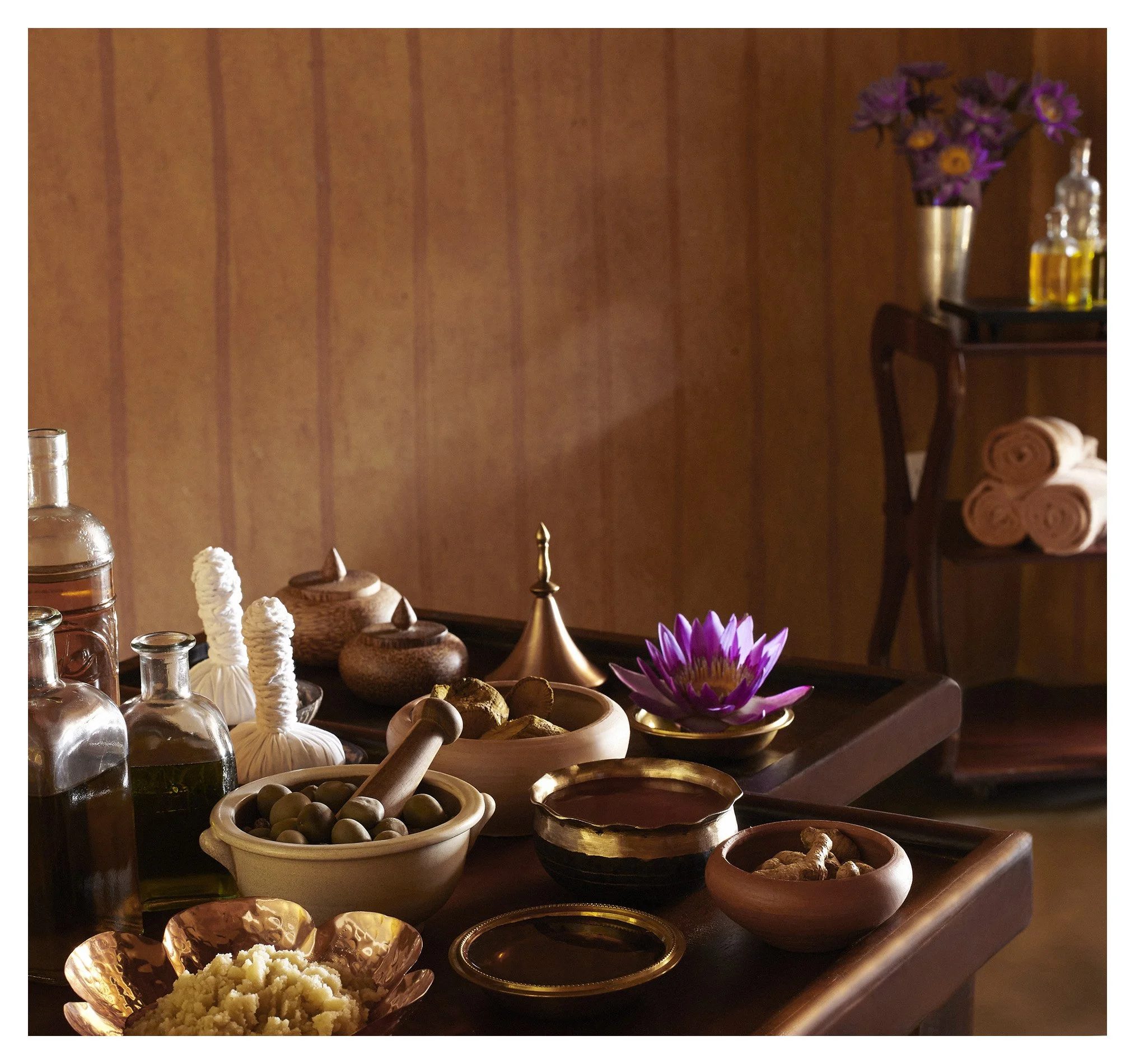 JLG_D2S_Ayurveda_7566.jpg
