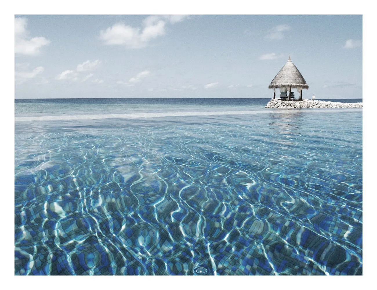 Pool+Day+Taj+Coral.jpg