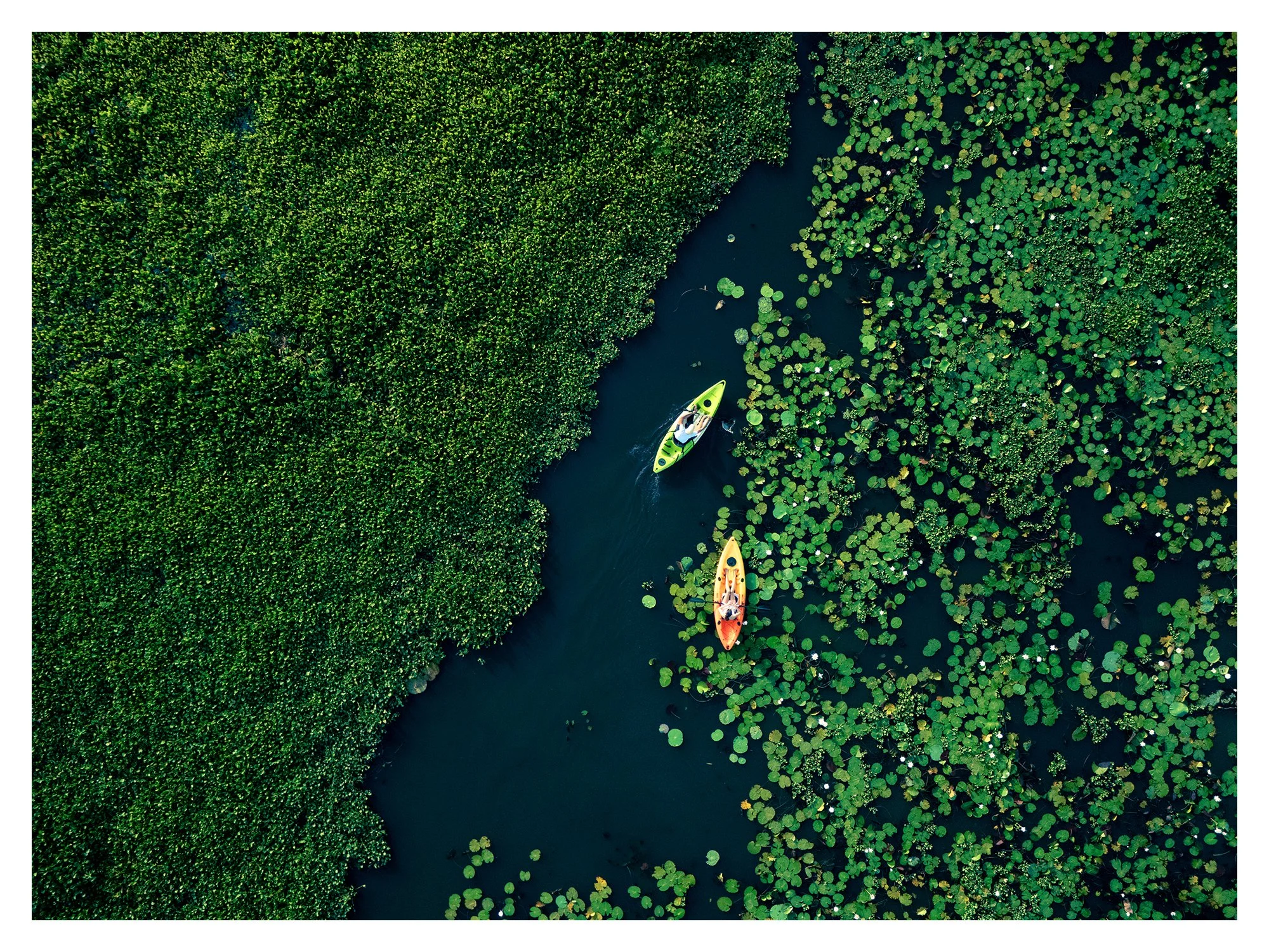 DJI_20250703071335_0653.jpg