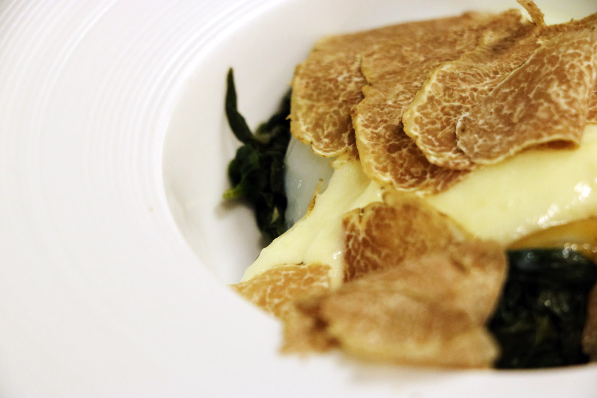 Tartufo.jpg