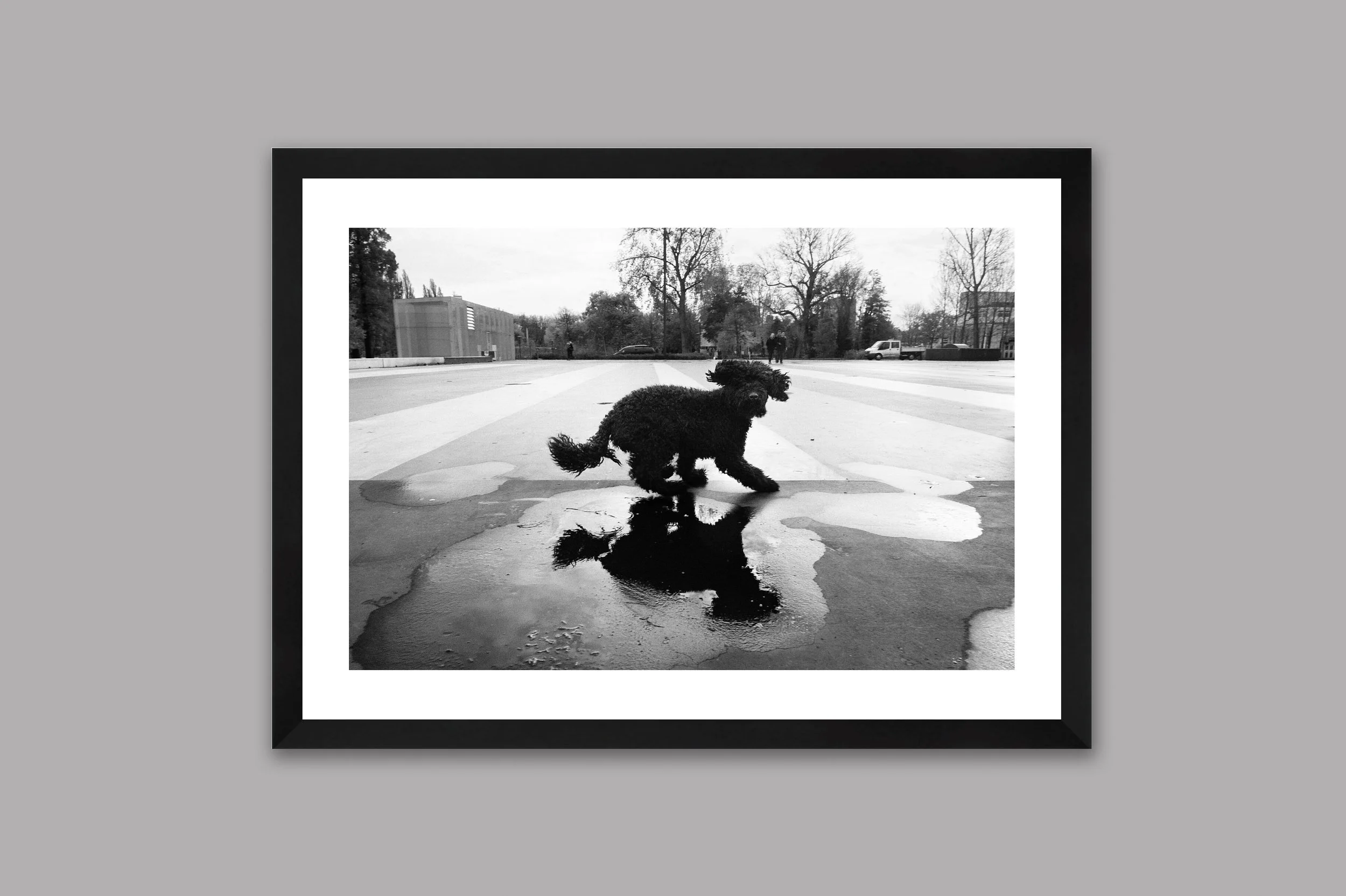 framed15.jpg