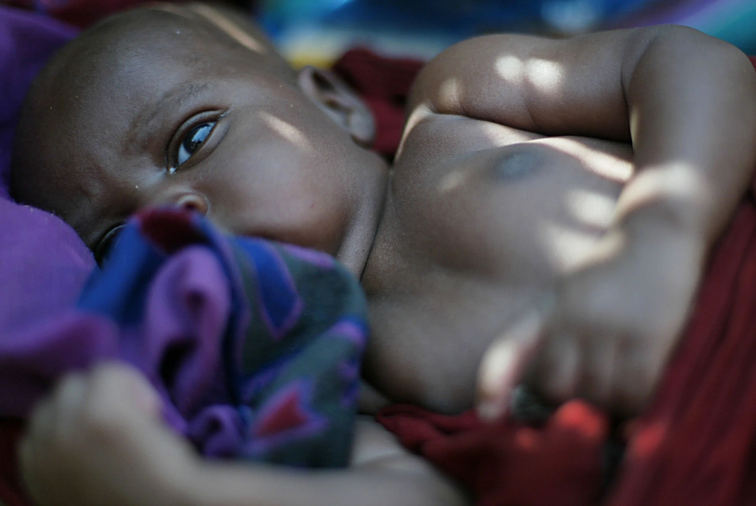 newborn01.jpg