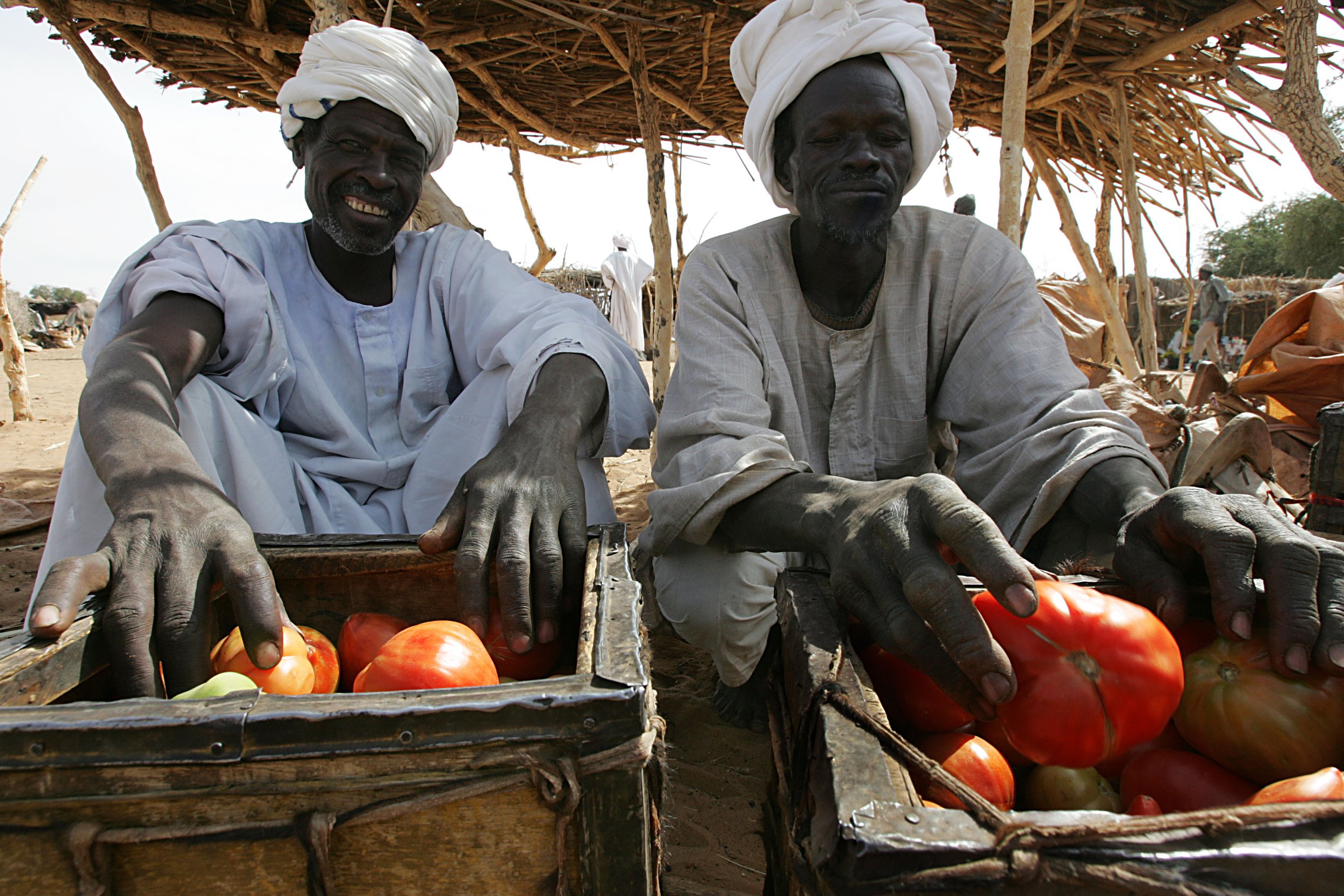 pomodori01.jpg
