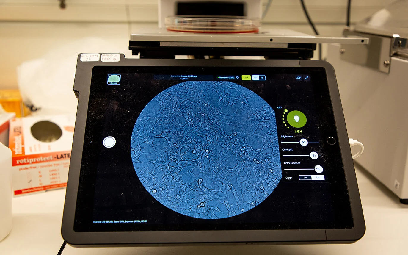 Looking at human cells. © Felix Petermann, MDC