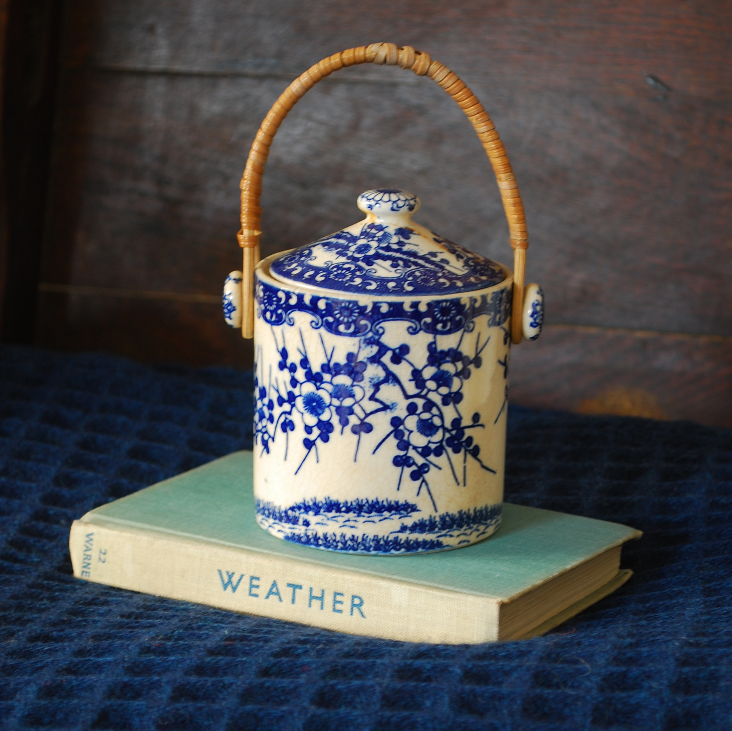 1-blue pot and weather book.JPG
