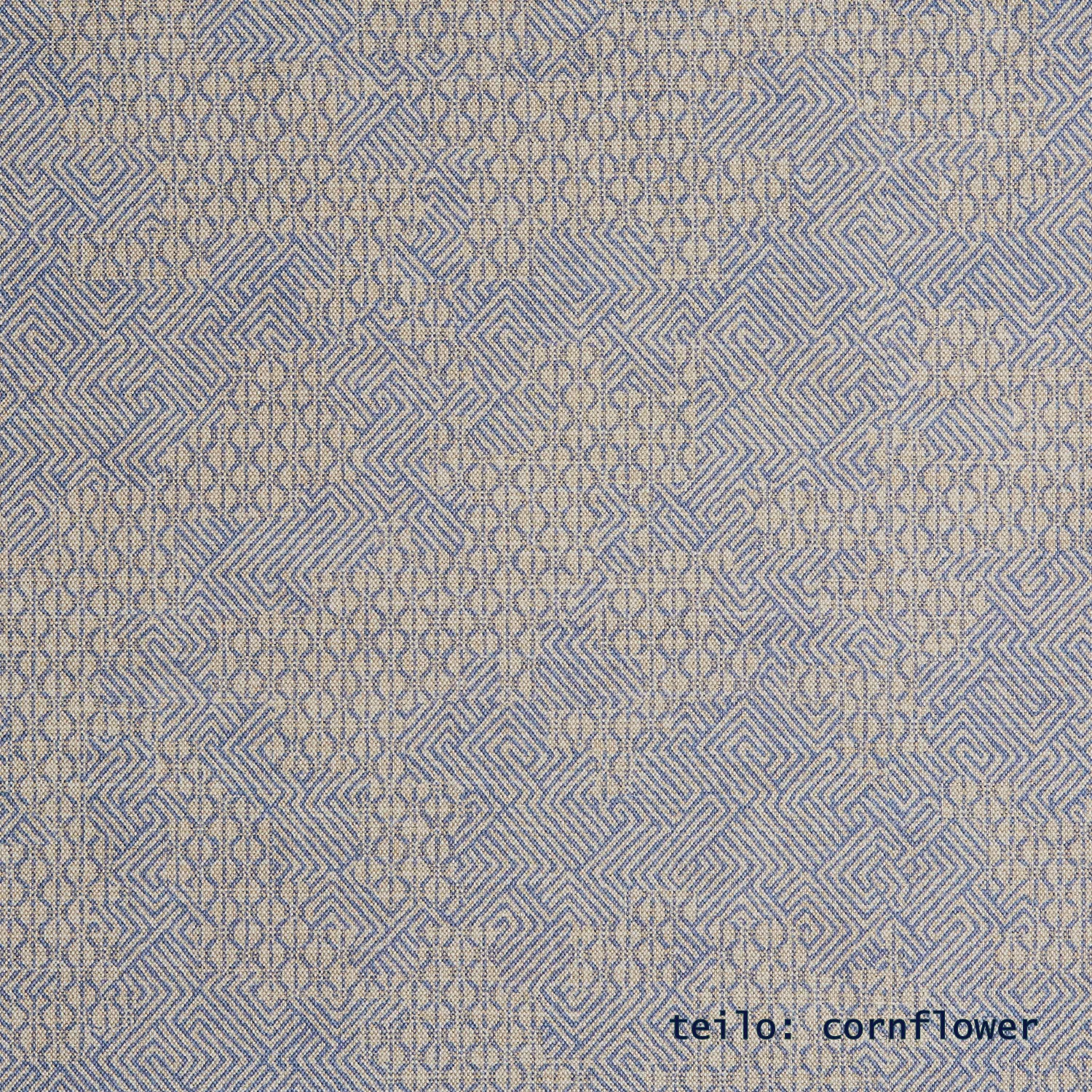 teilo cornflower.jpg