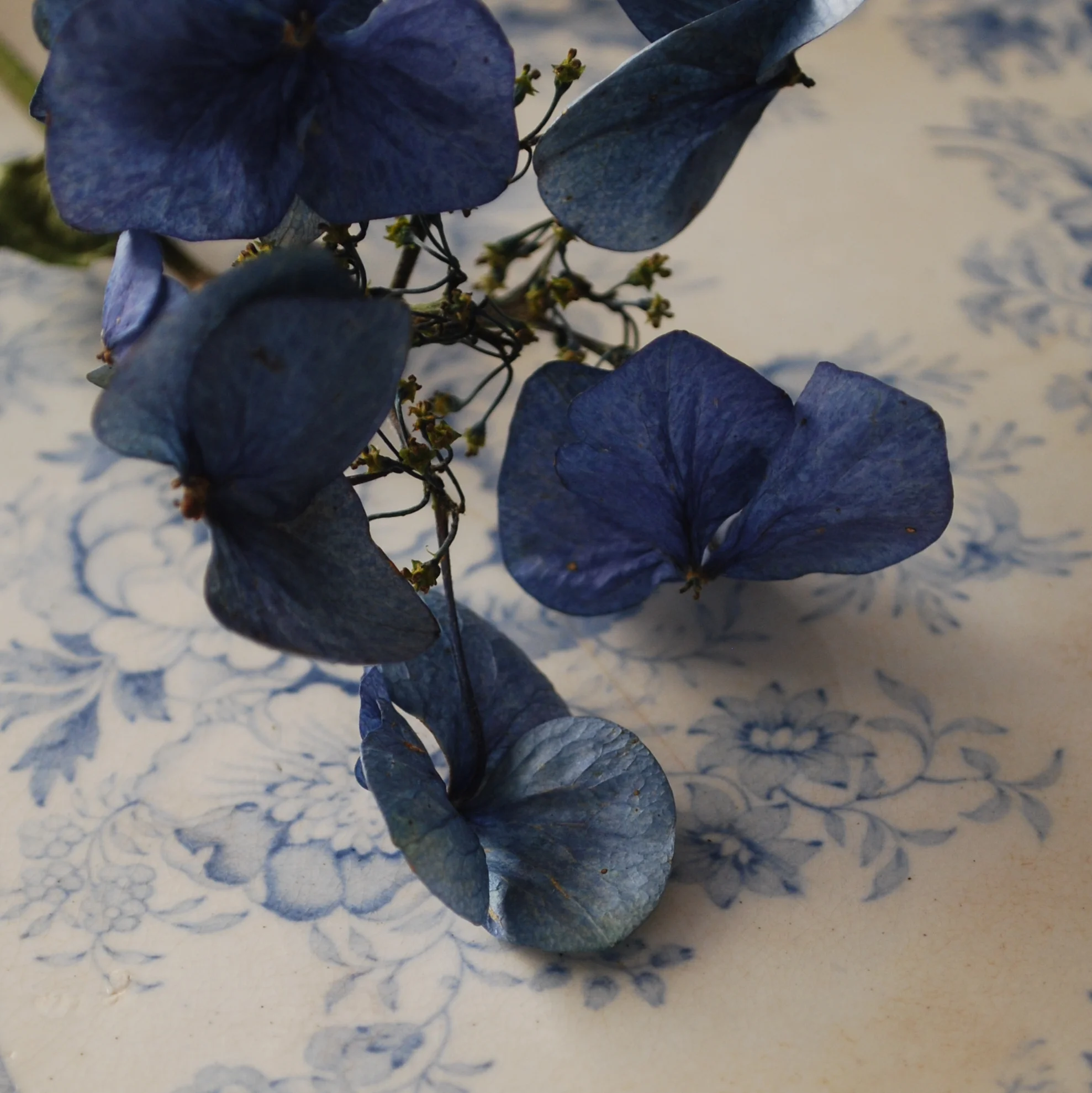 the country brocante:daylesford farm