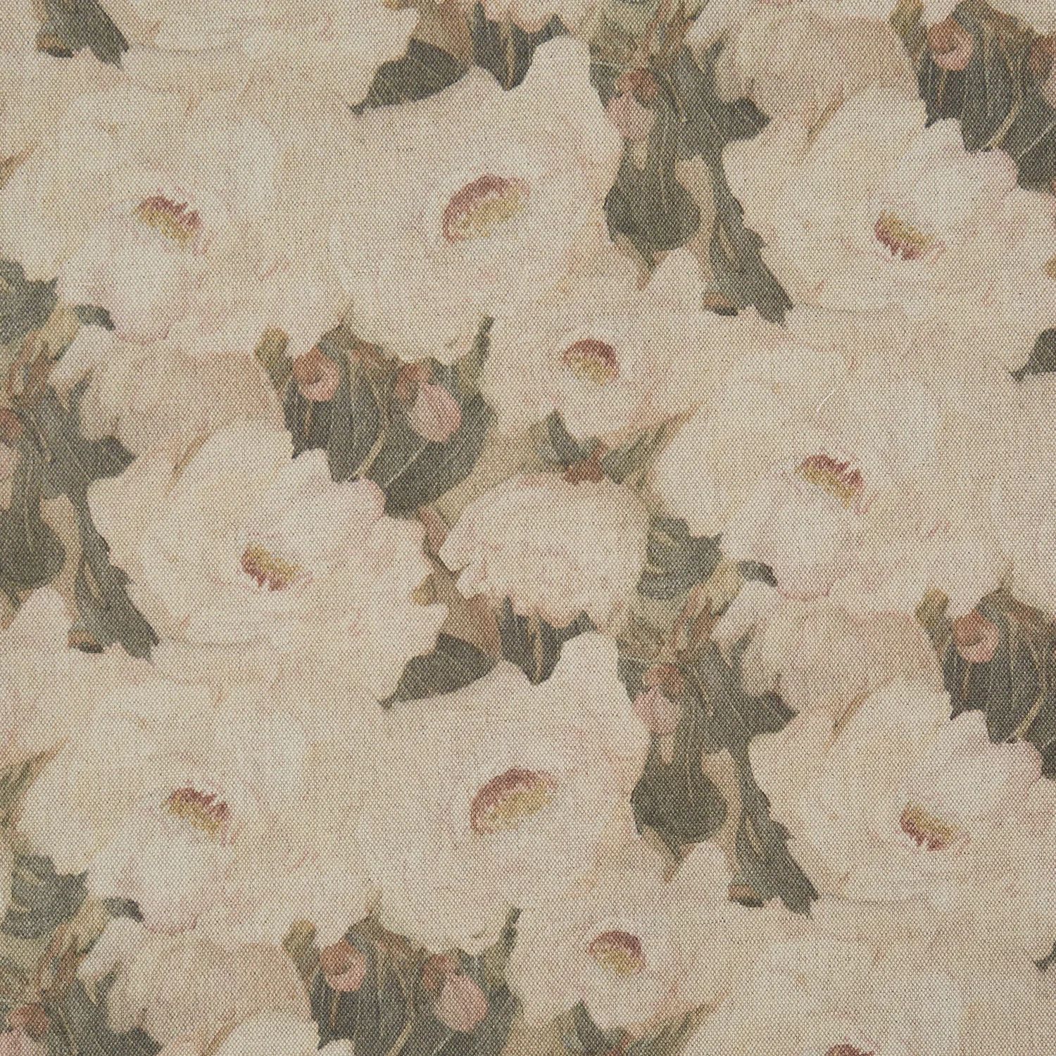01-PALE PEONY.jpg