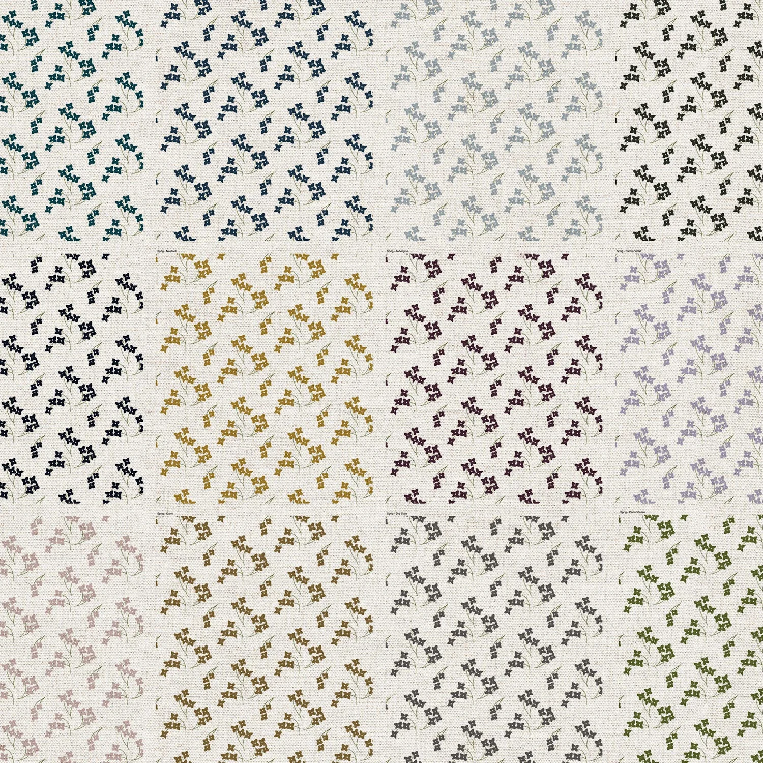 Sprig-Collection.jpg