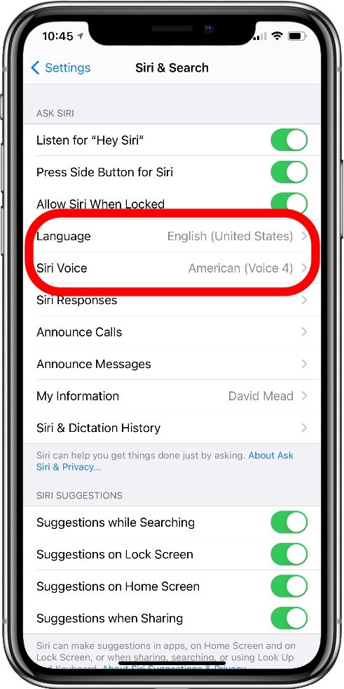 The language and voice settings in the iOS Settings app