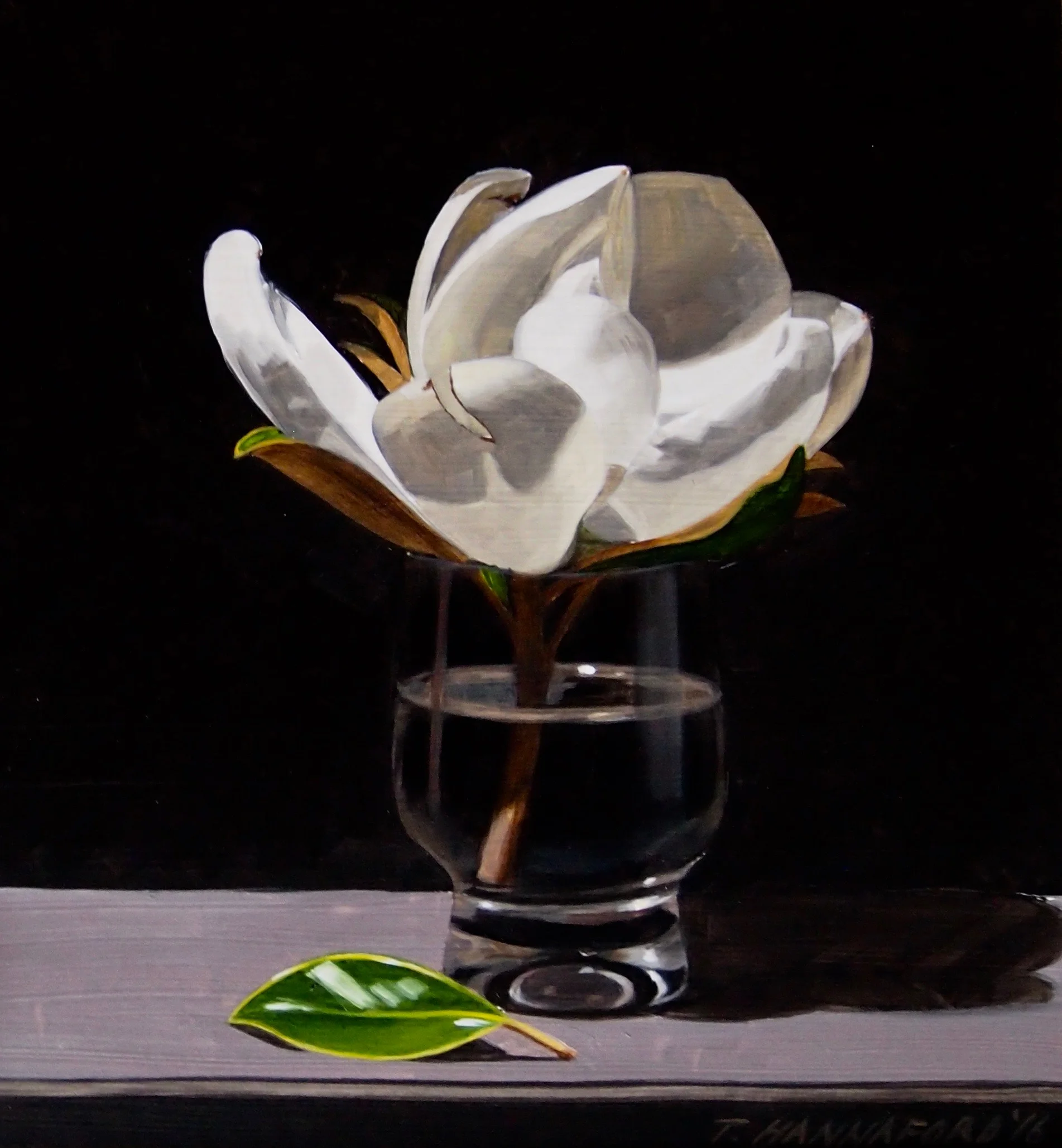 Magnolia II