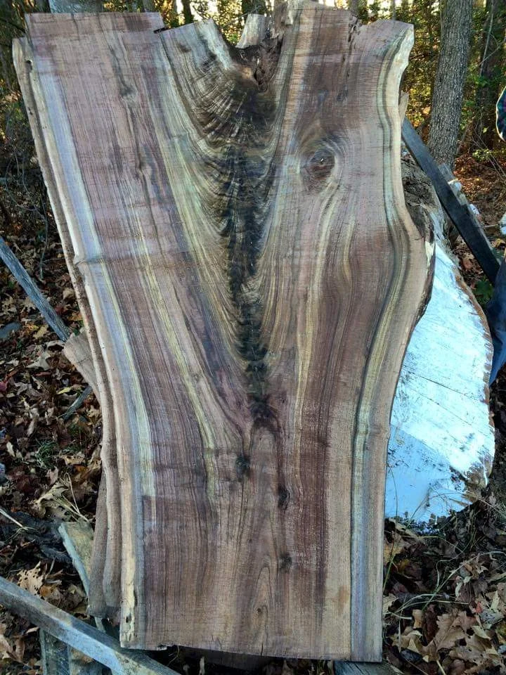 Walnut