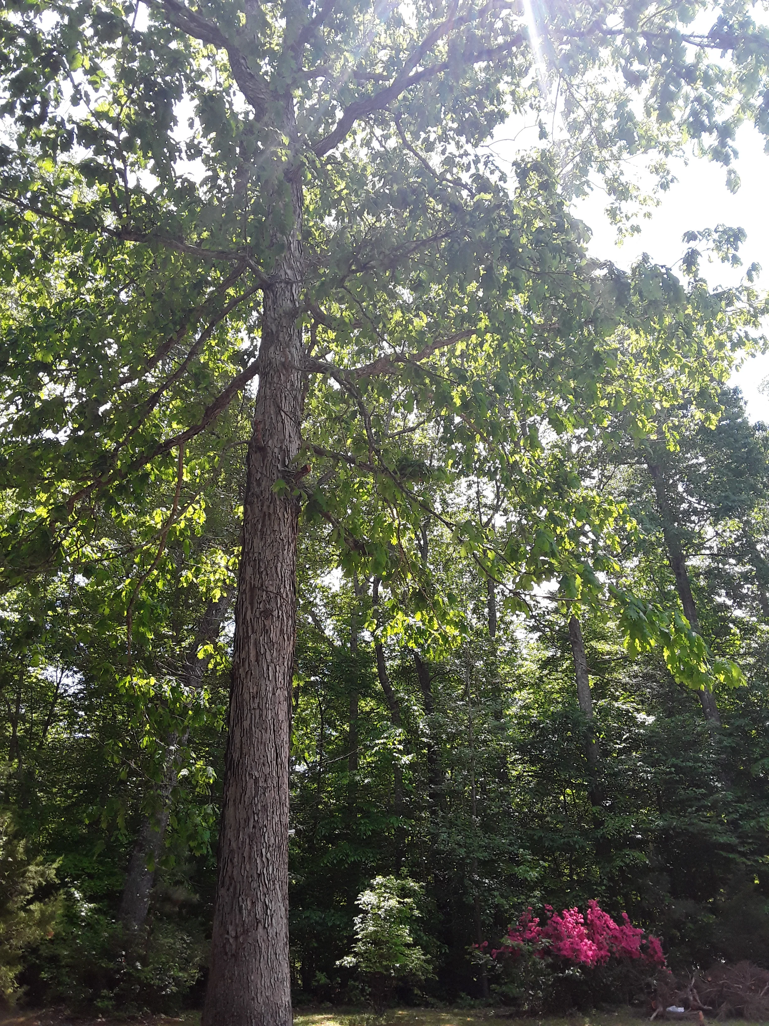 20190504_134138.jpg