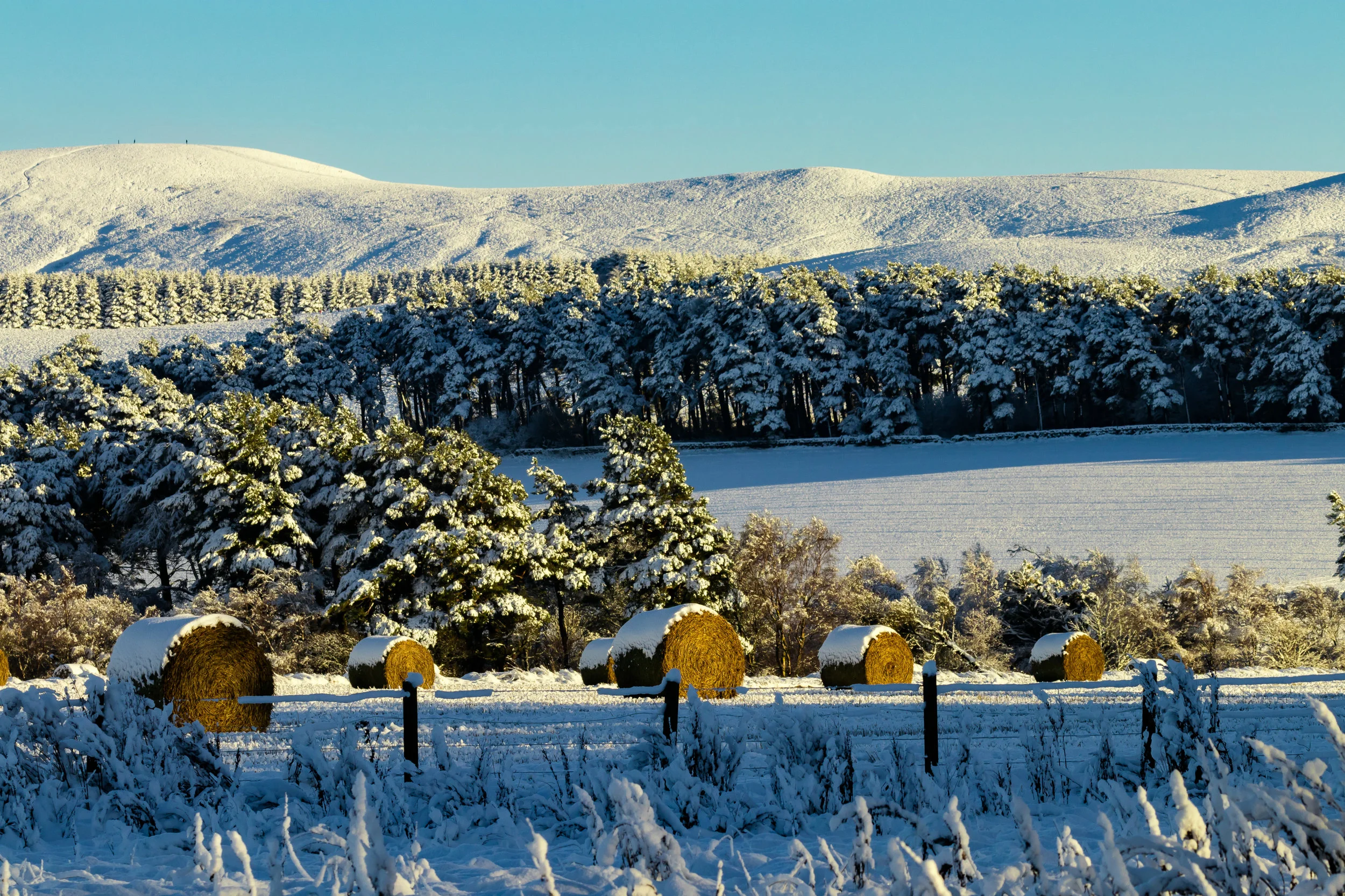 (913) Harbour Hill, Pentland Hills Regional Park, Balerno, Edinburgh, Scotland.jpg