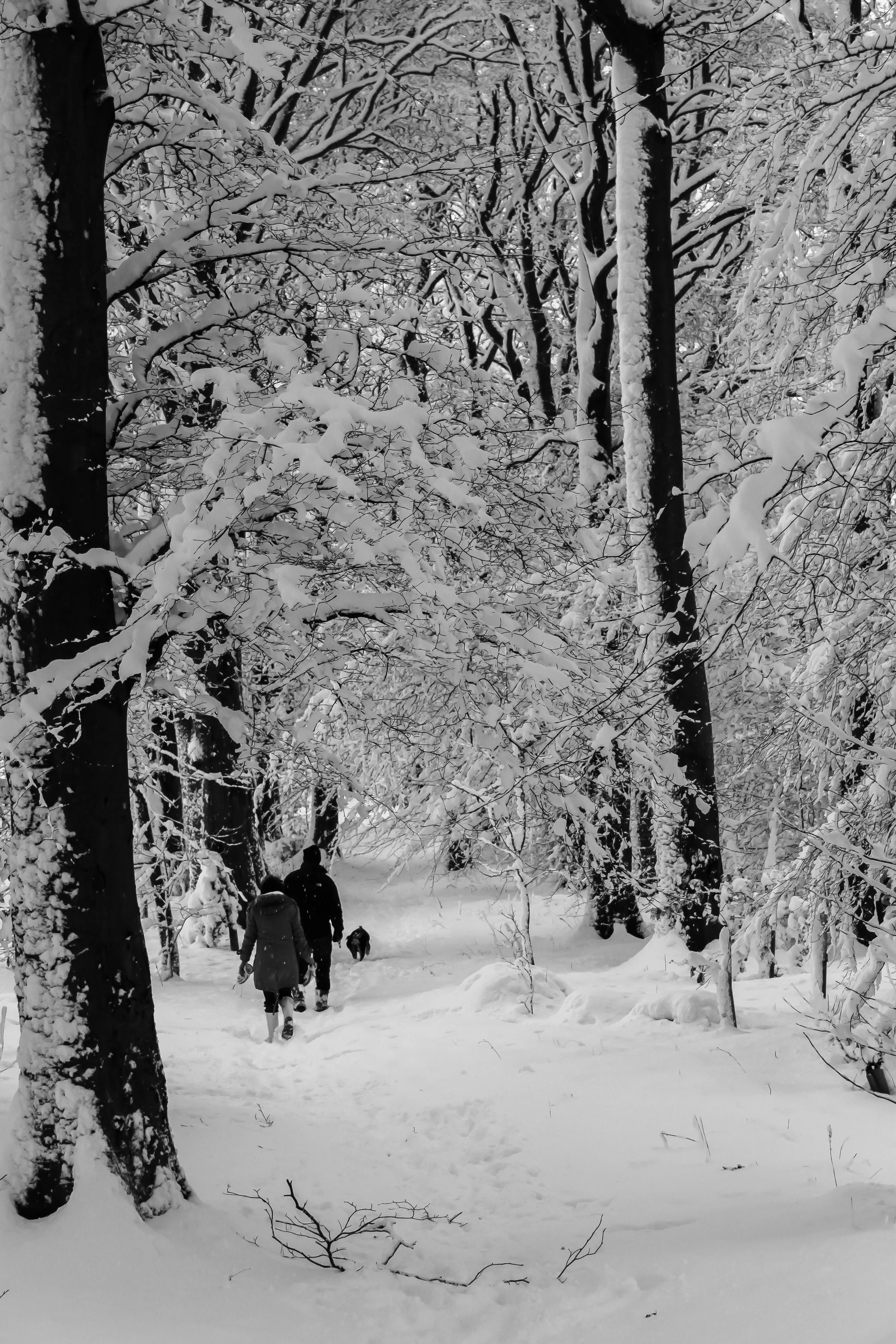 (342) Couple enjoying a walk in the snow, Ratho, Edinburgh, Scotland.jpg