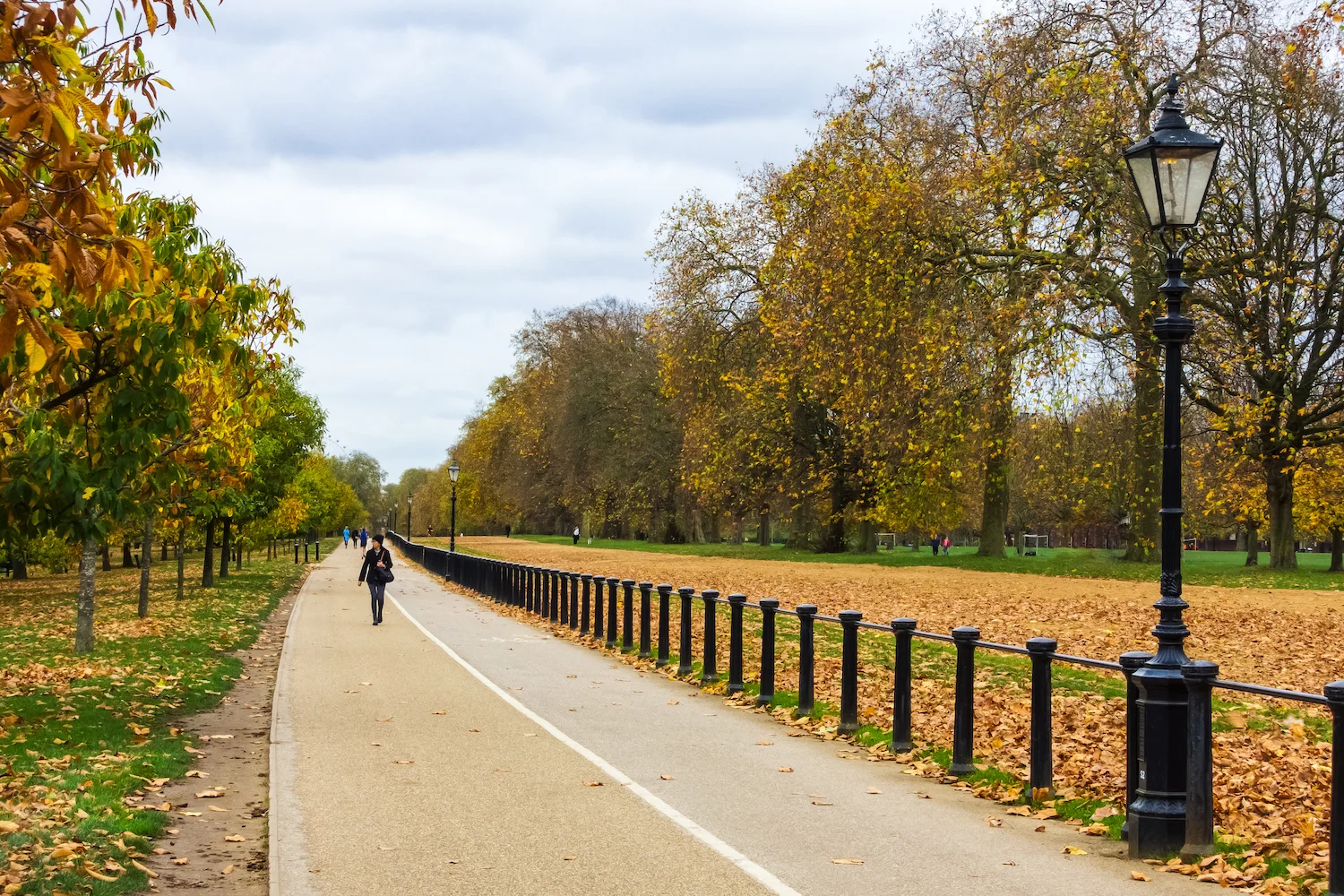 (39) Rotten Row, Hyde Park, London, England copy.jpg
