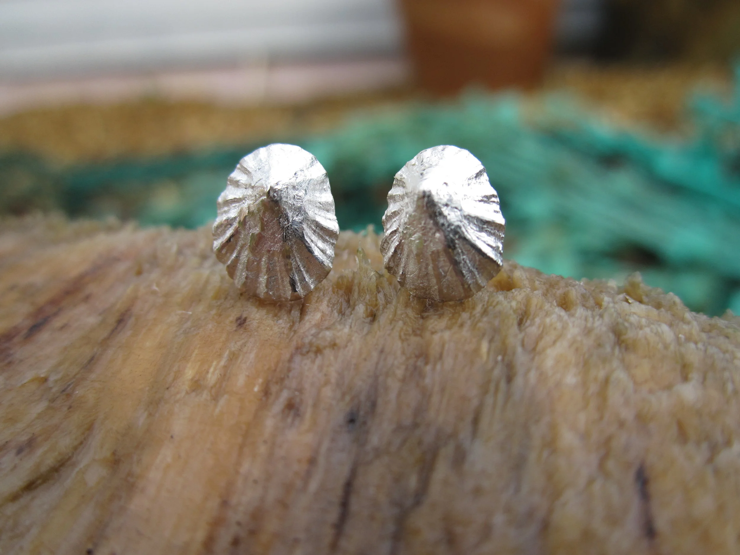 cornish solid silver limpet shell studs stud earrings earring handmade cornwall beach small dainty little