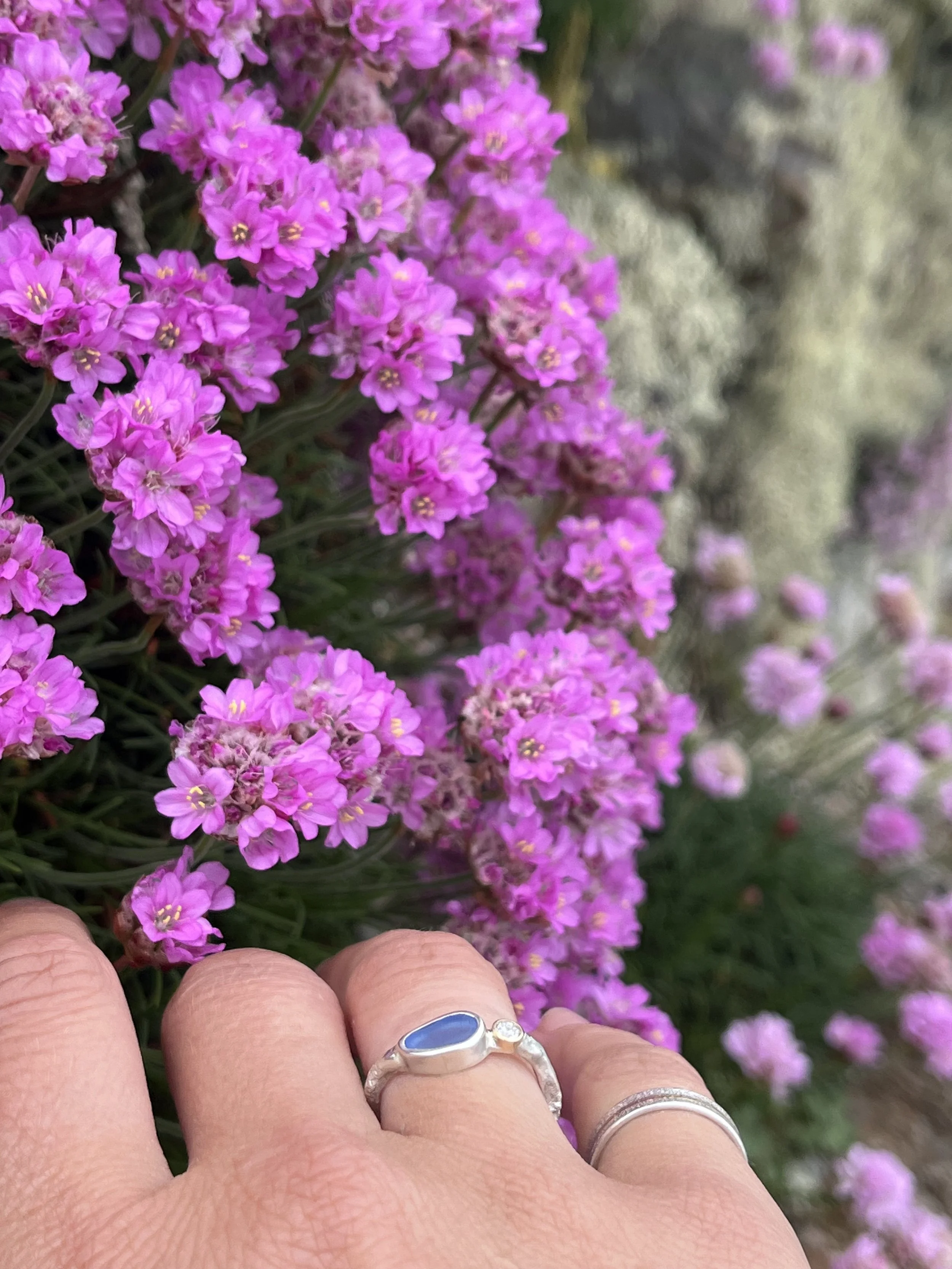 IMG_7443.jpeg