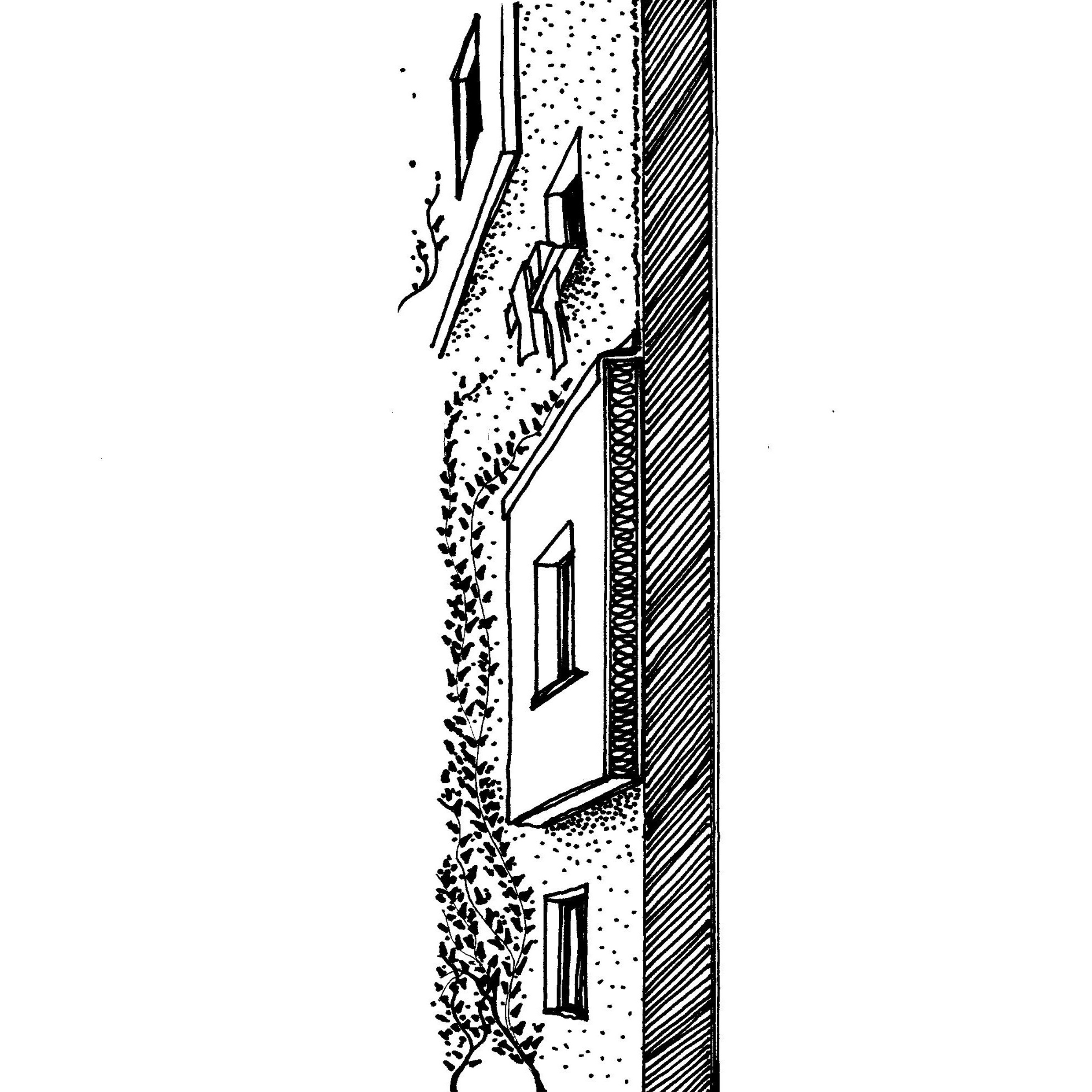 The wall insulation