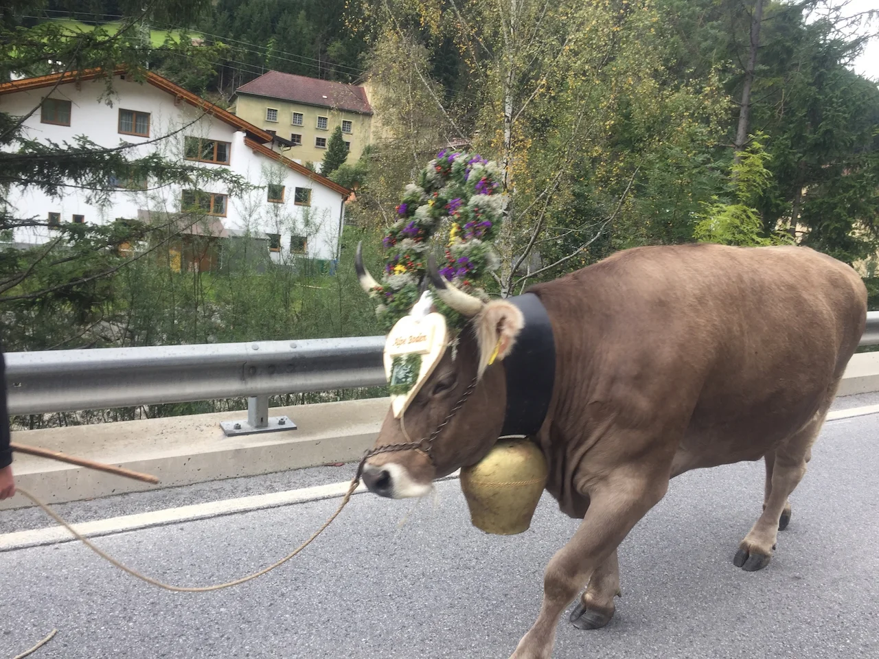 Summer and Autumn 2017