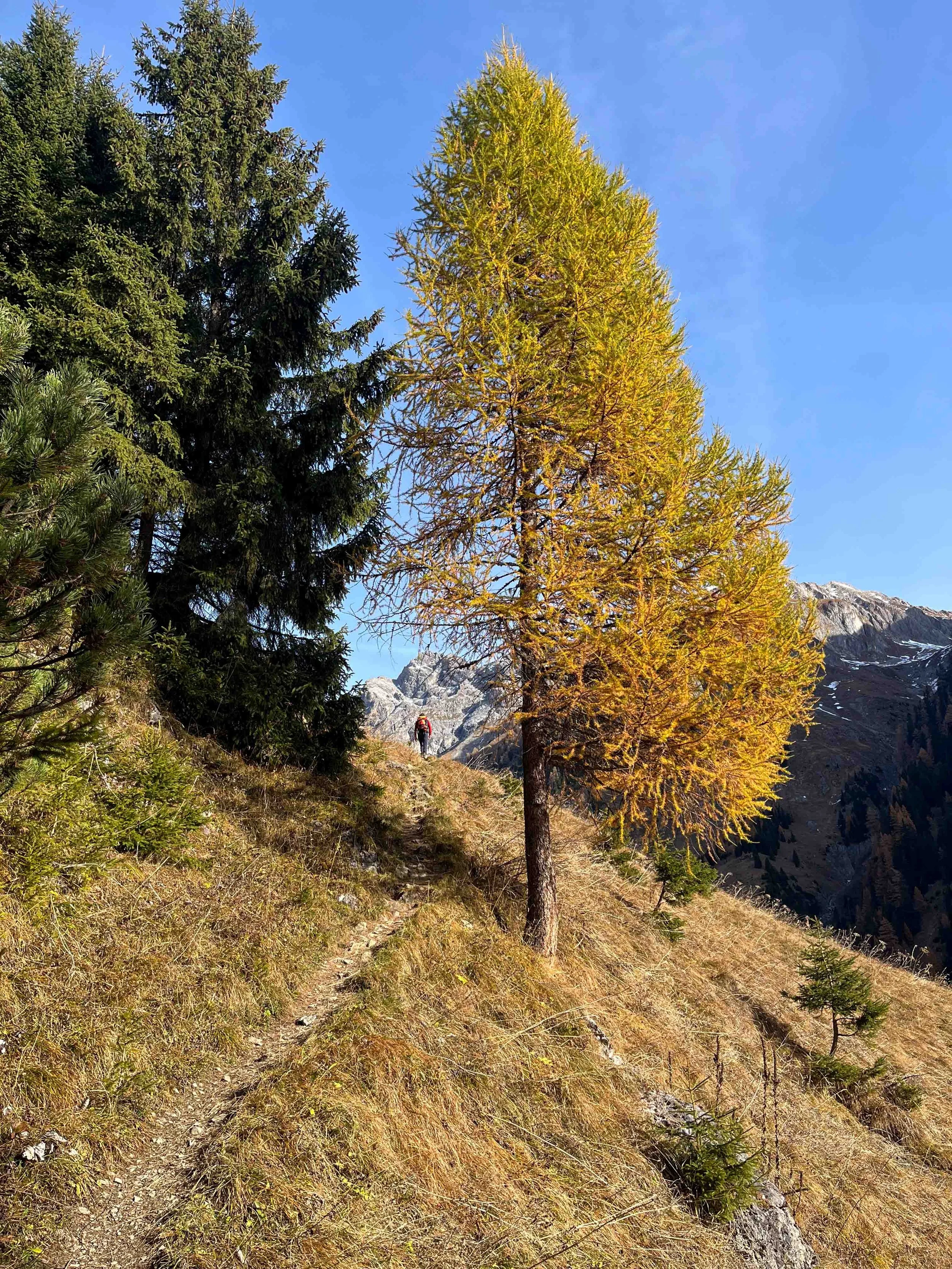 Trekking-in-Austria-in-Autumn.jpg