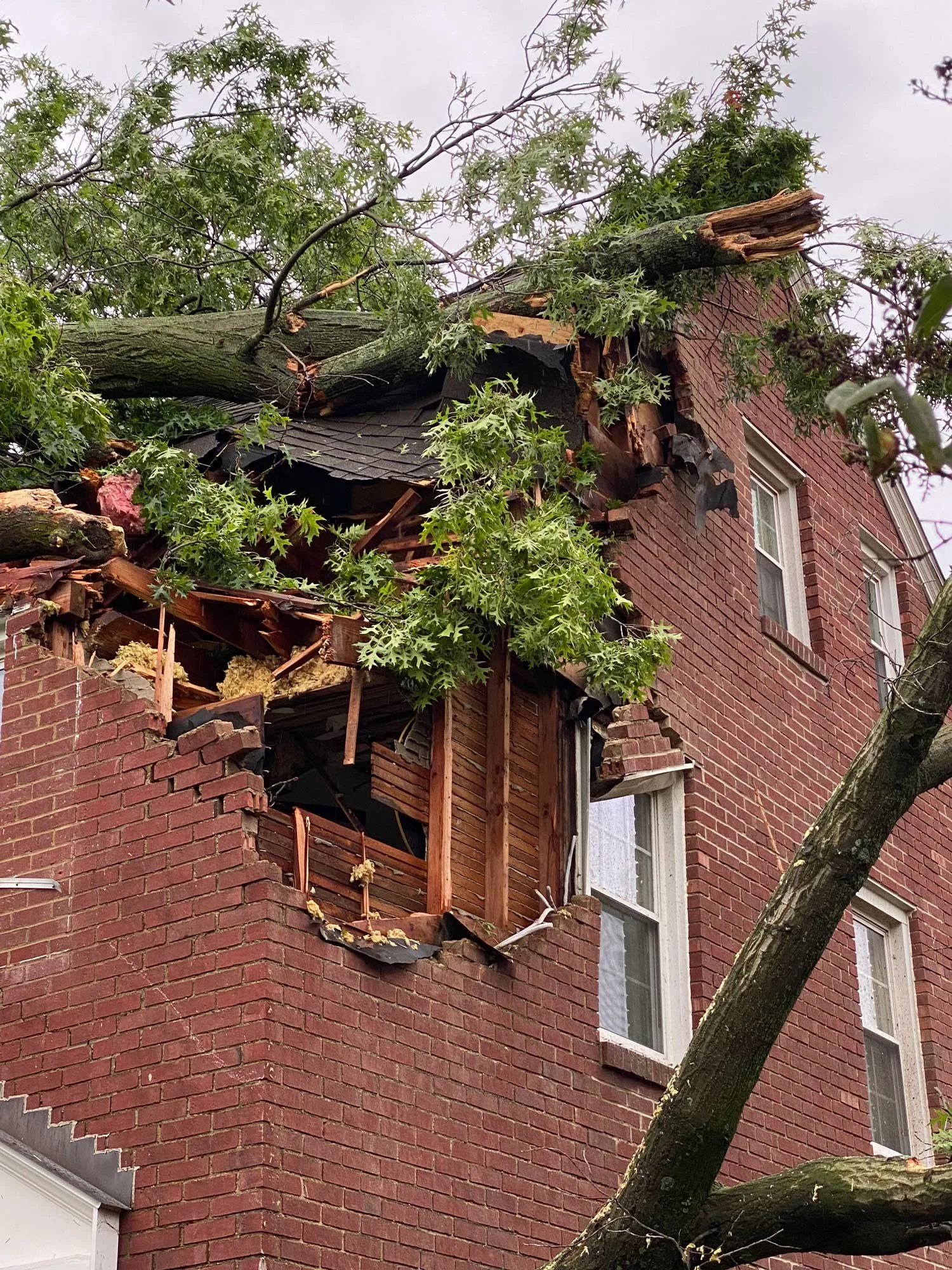 dane-storm-damage-1.jpg